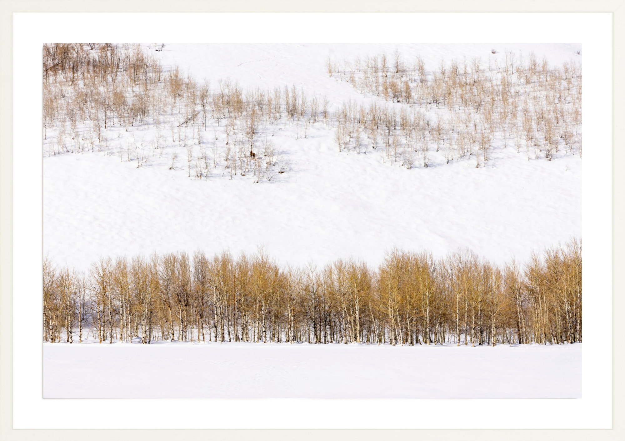 Alone Time, Jules Frazier Fine Art Photograph