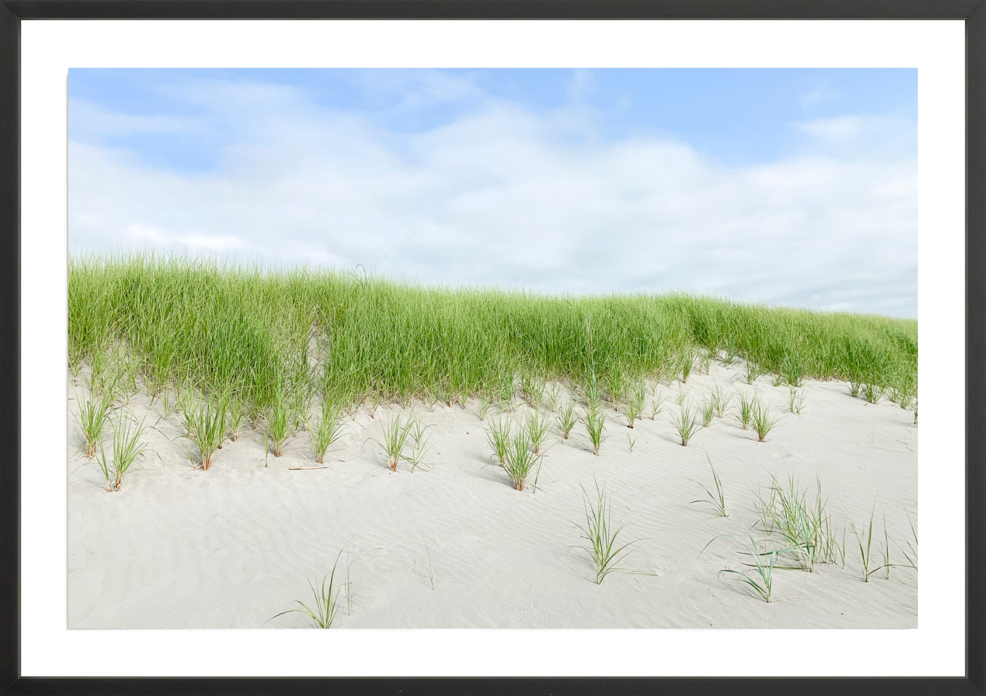 Beach Dunes, Jules Frazier Fine Art Photograph