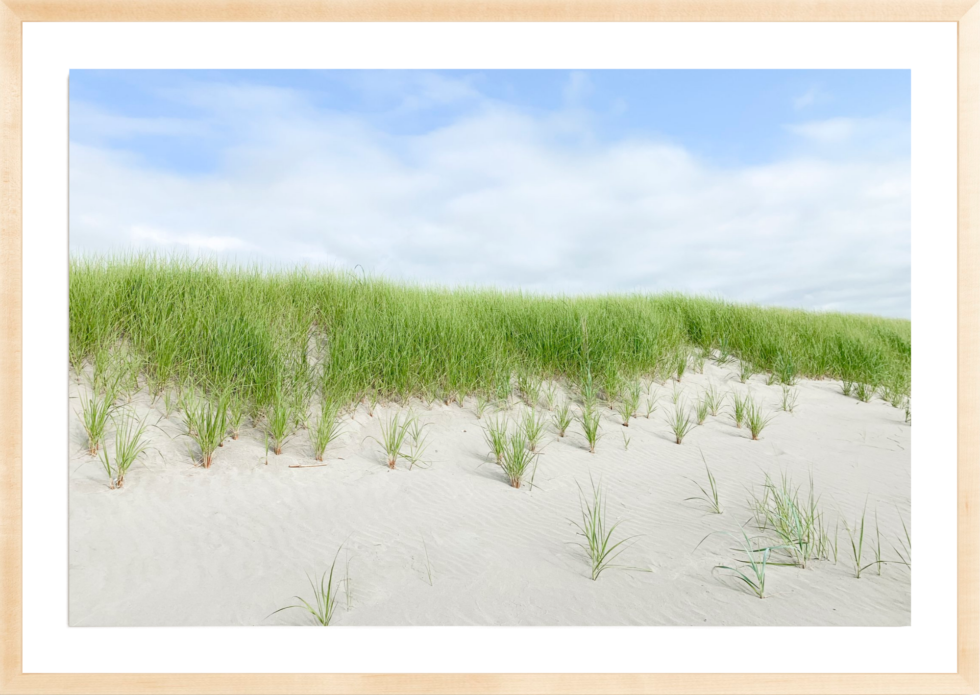 Beach Dunes, Jules Frazier Fine Art Photograph