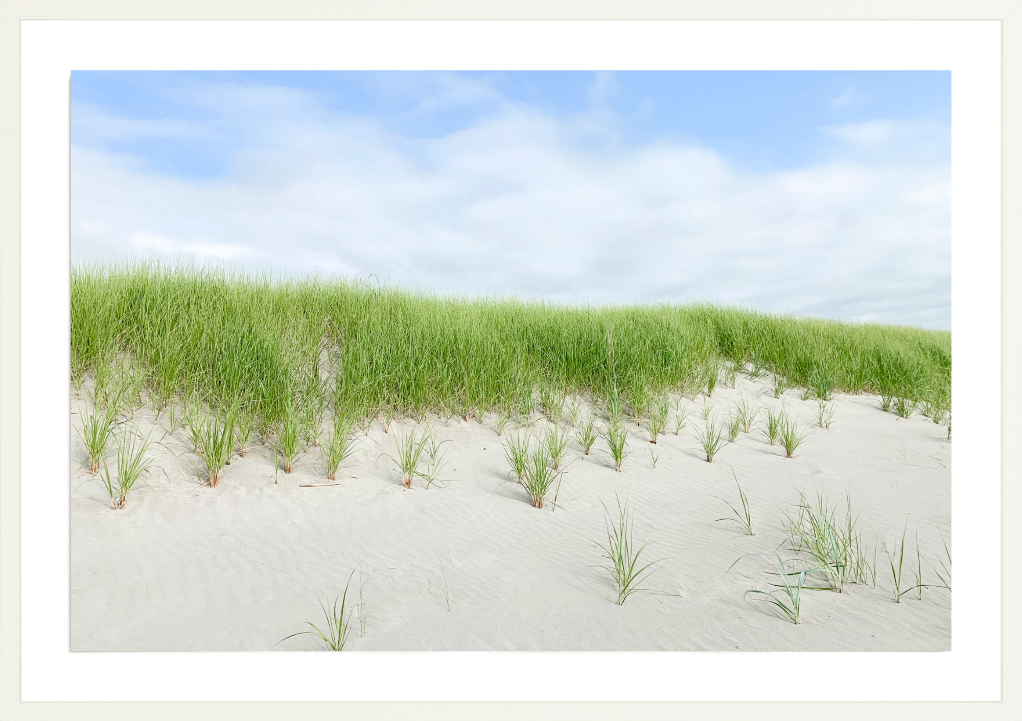 Beach Dunes, Jules Frazier Fine Art Photograph