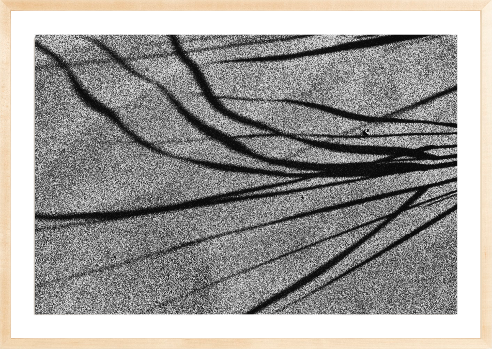 Beach Grass 3