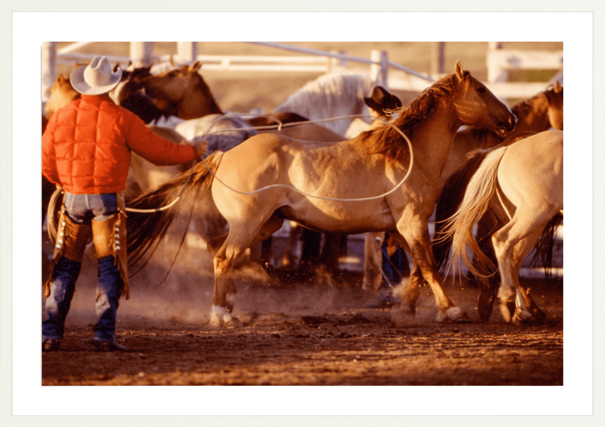  - Jules Frazier Fine Art Photographs