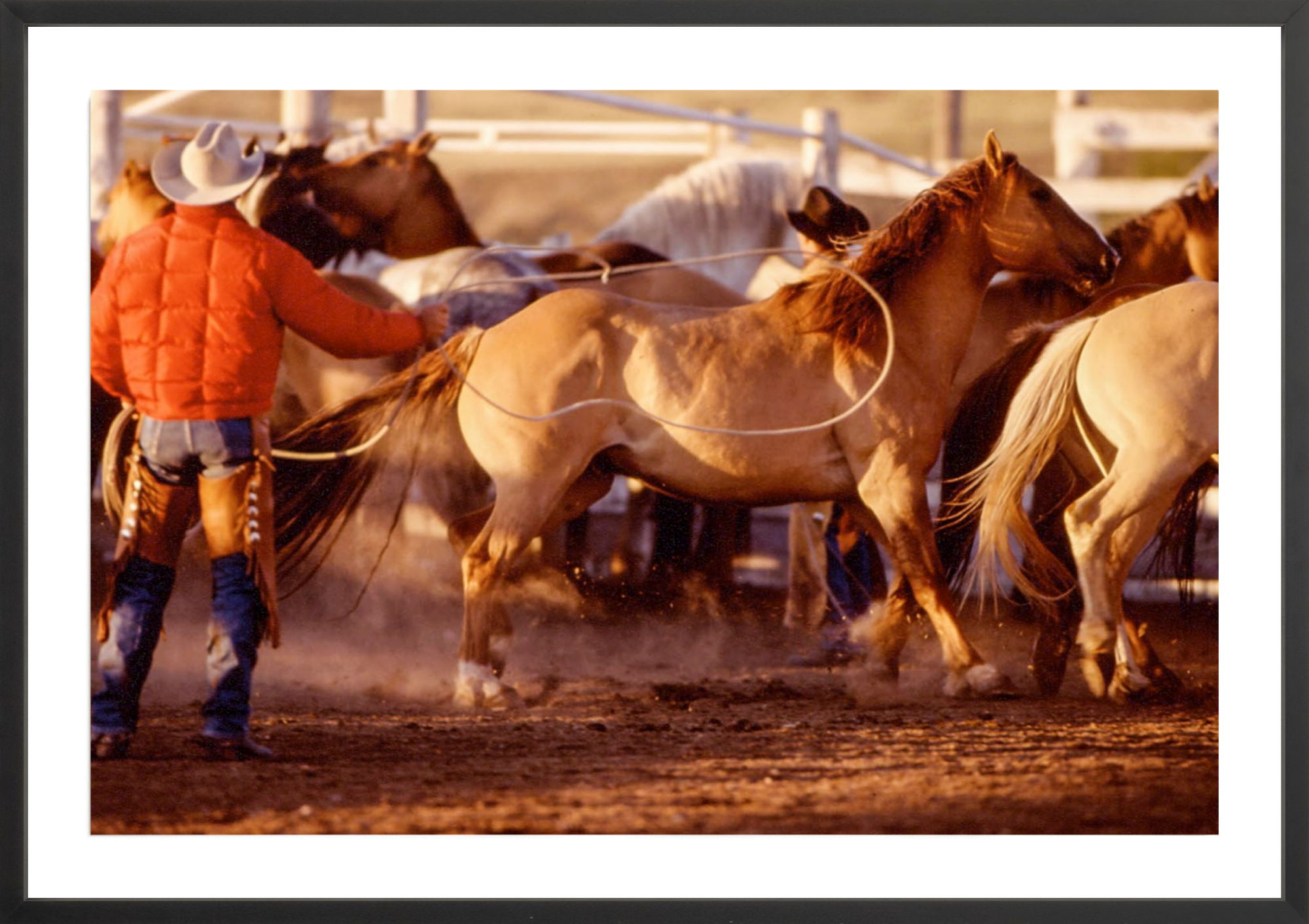 Binion's Ranch Round-Up, Jules Frazier Fine Art Photograph
