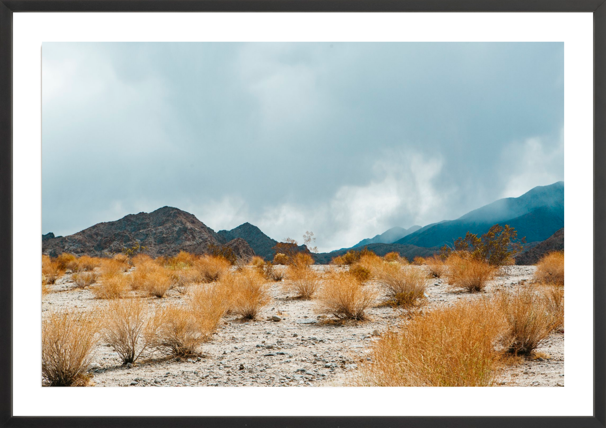 Desert Color, Jules Frazier Fine Art Photograph