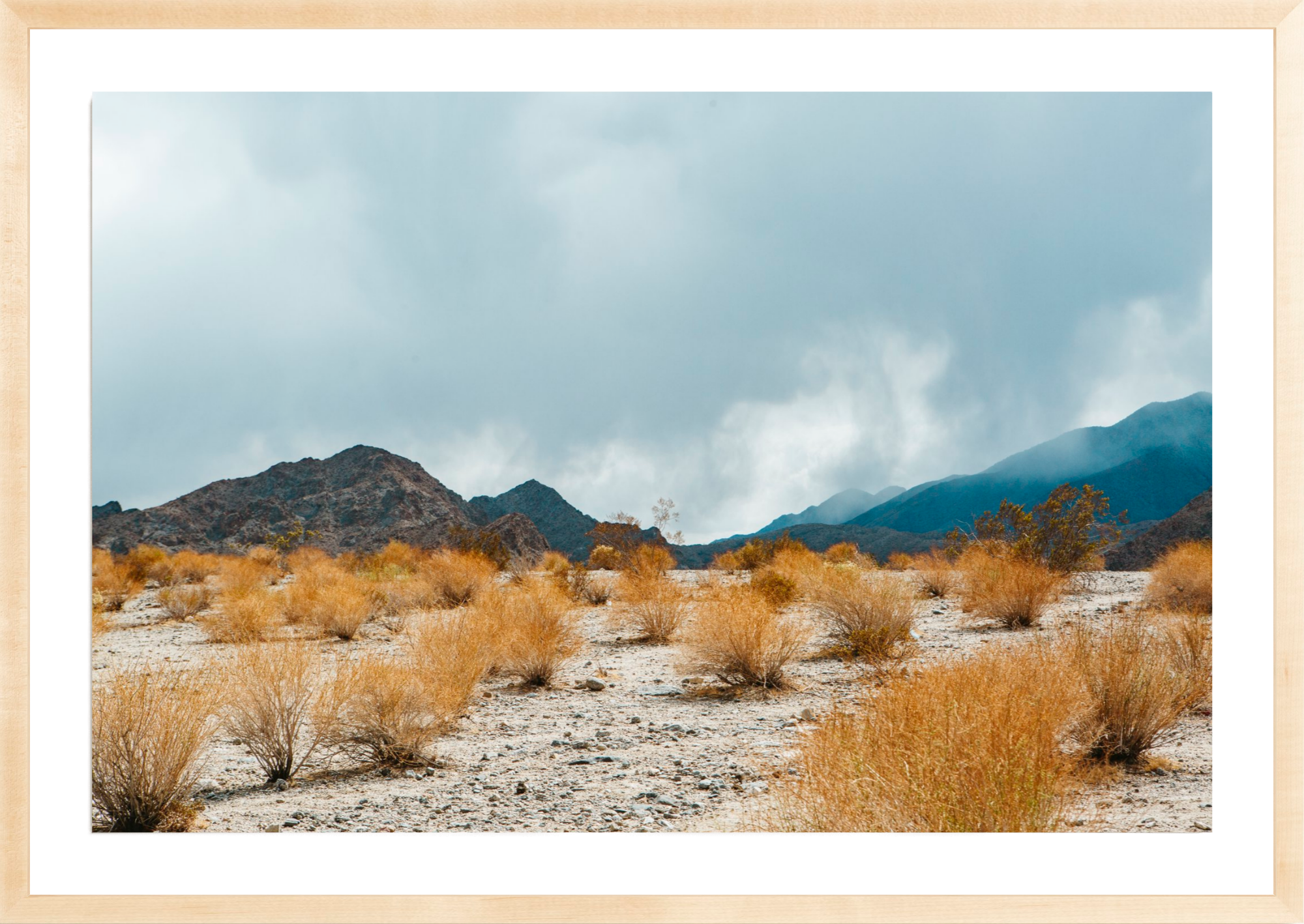 Desert Color, Jules Frazier Fine Art Photograph