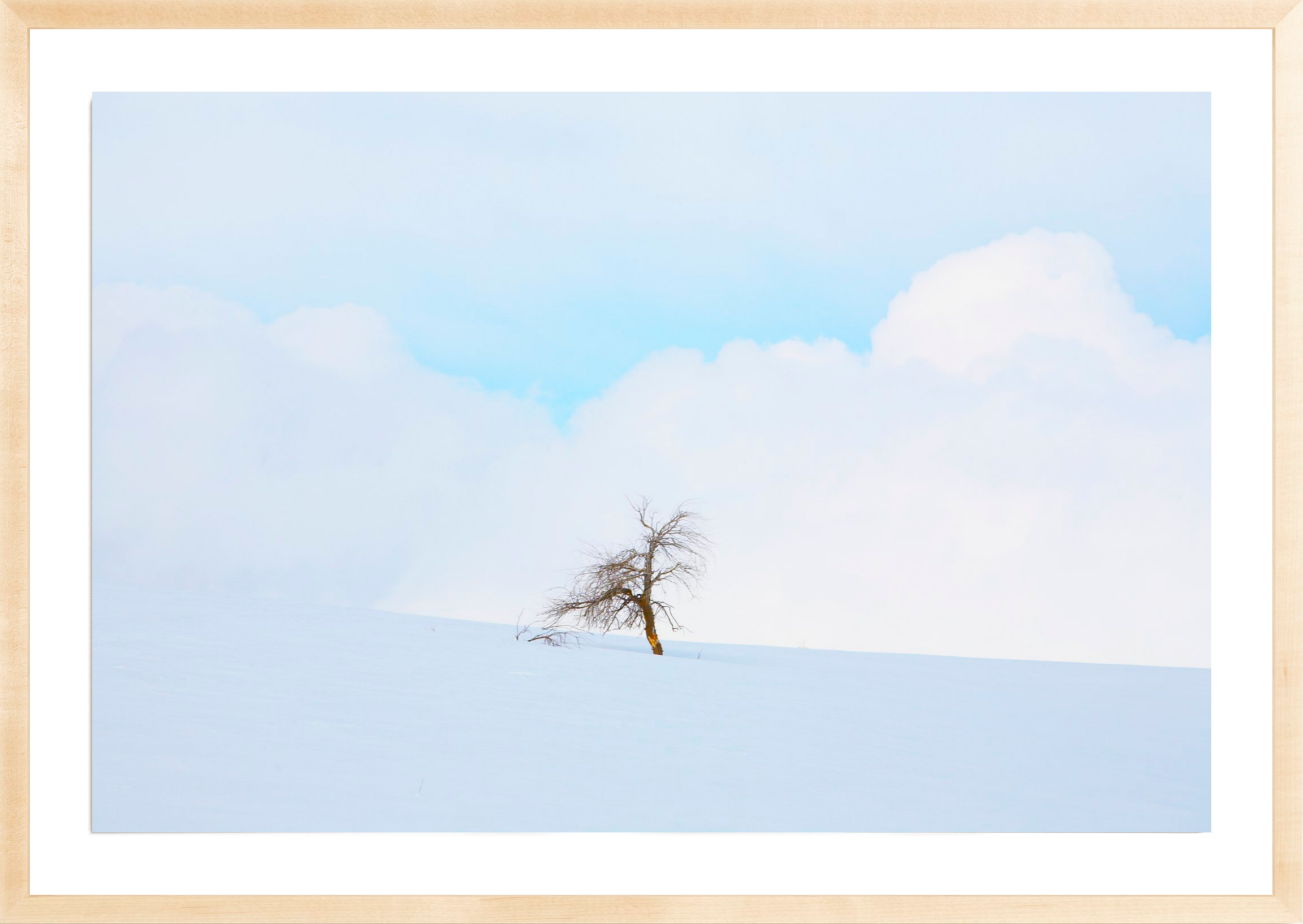 Hill City Homestead, Jules Frazier Fine Art Photograph