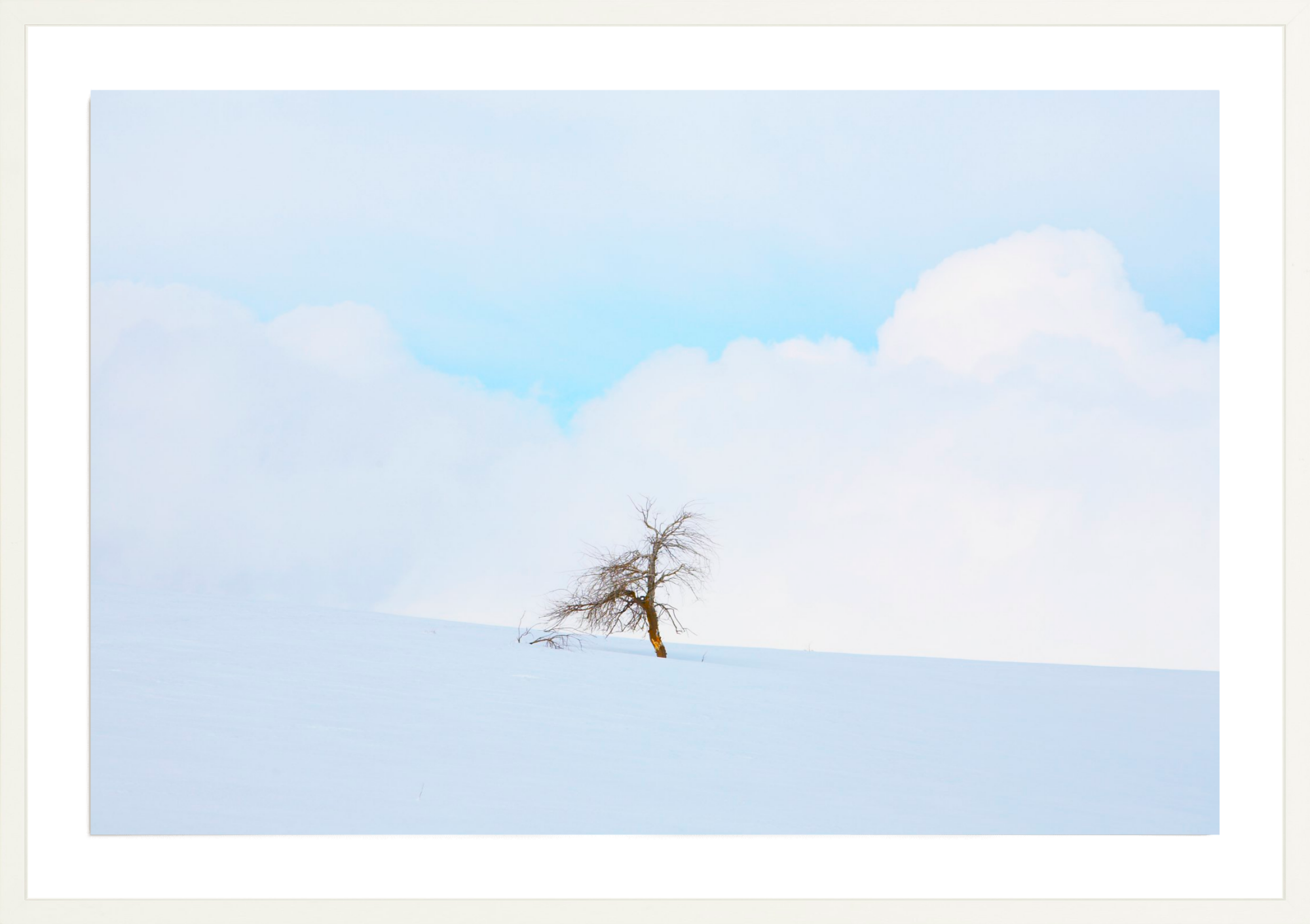 Hill City Homestead, Jules Frazier Fine Art Photograph