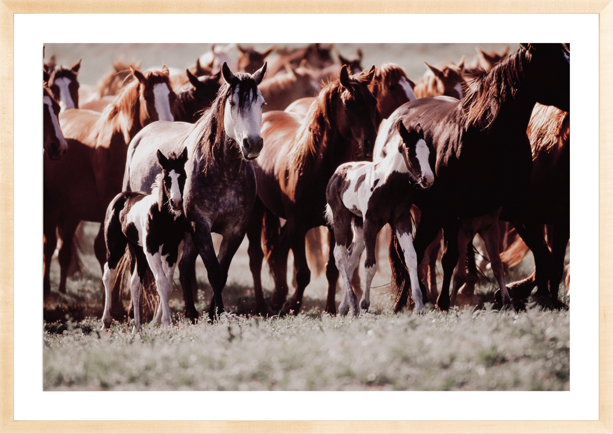 Horse Dreams, Jules Frazier Fine Art Photograph