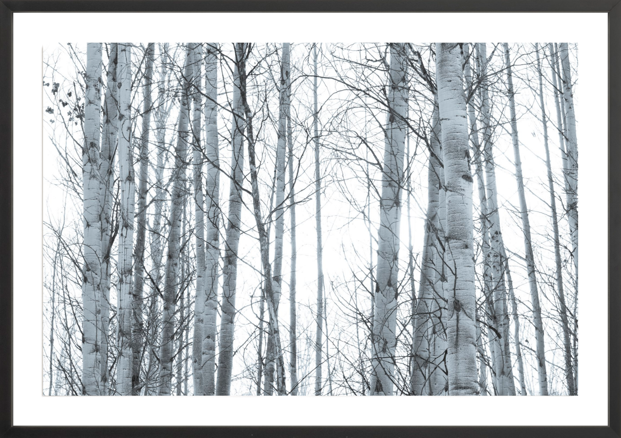 In Your Eyes, Jules Frazier Fine Art Photograph