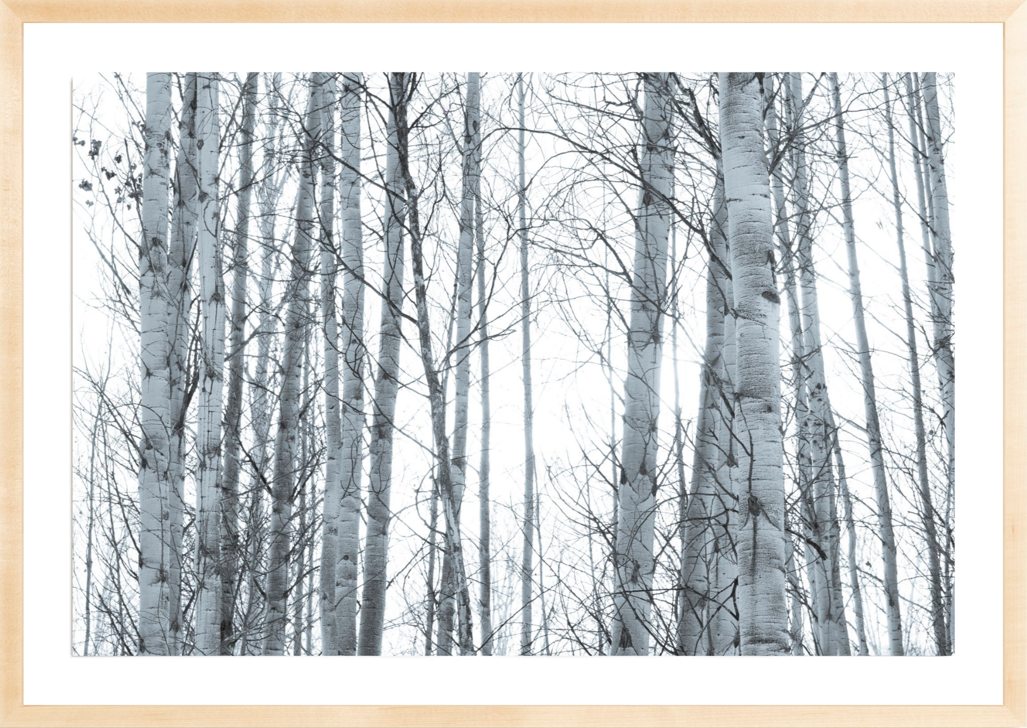In Your Eyes, Jules Frazier Fine Art Photograph