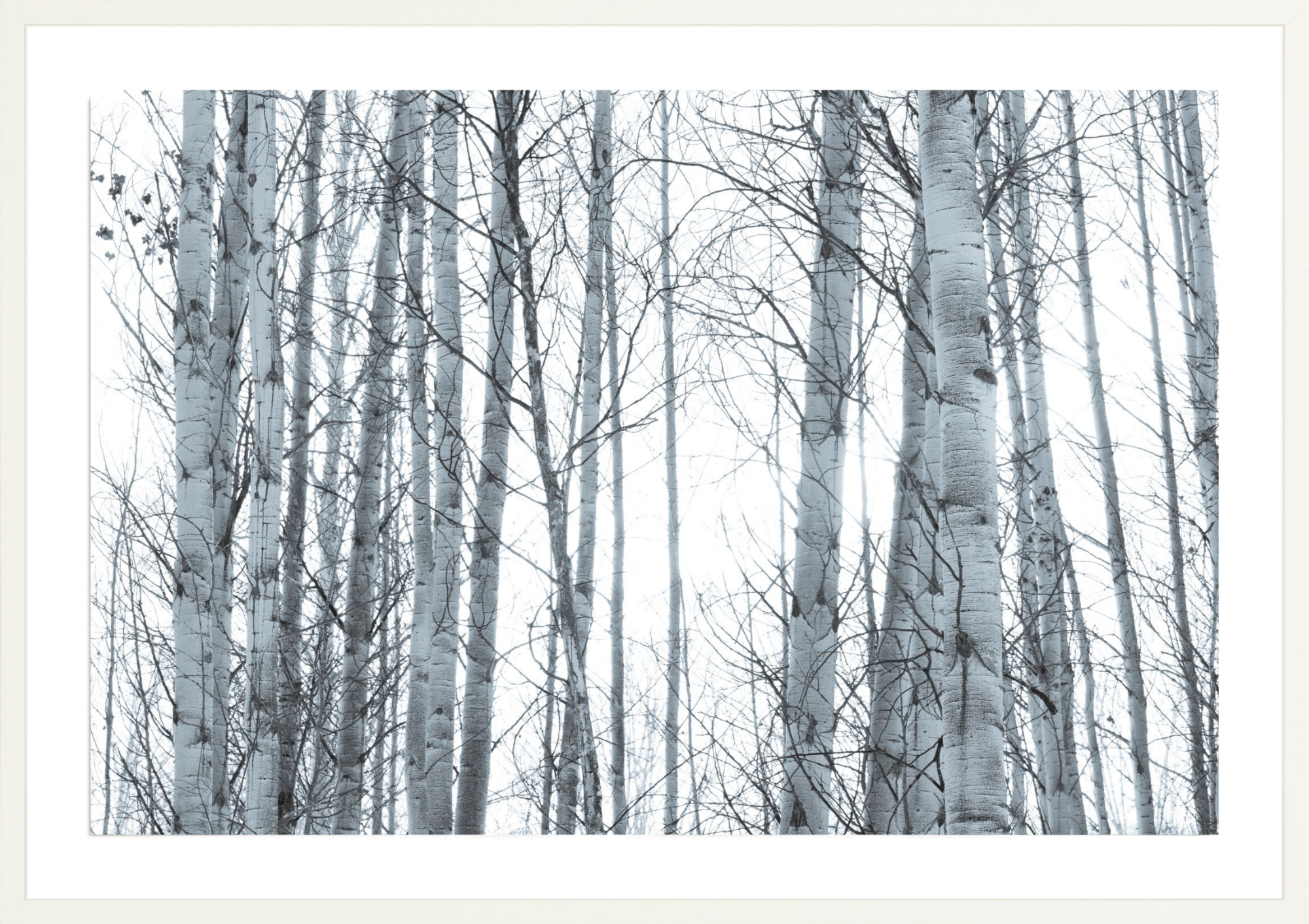 In Your Eyes, Jules Frazier Fine Art Photograph