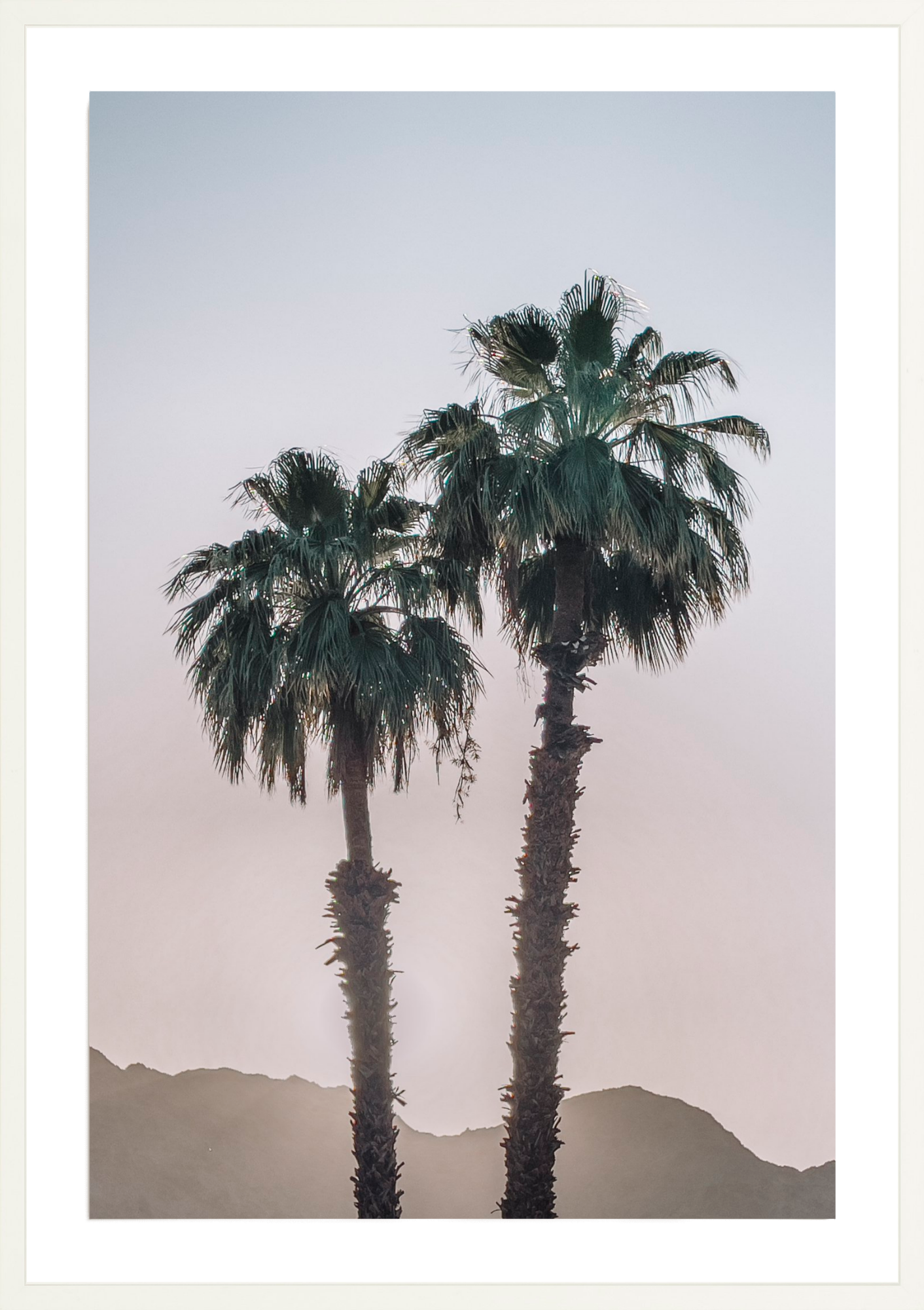 La Quinta Palms, Jules Frazier Fine Art Photograph