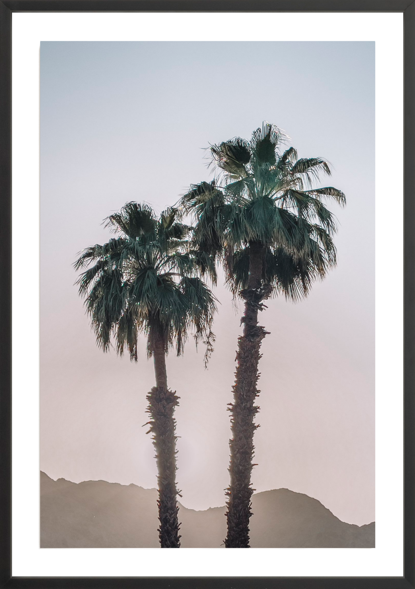 La Quinta Palms, Jules Frazier Fine Art Photograph