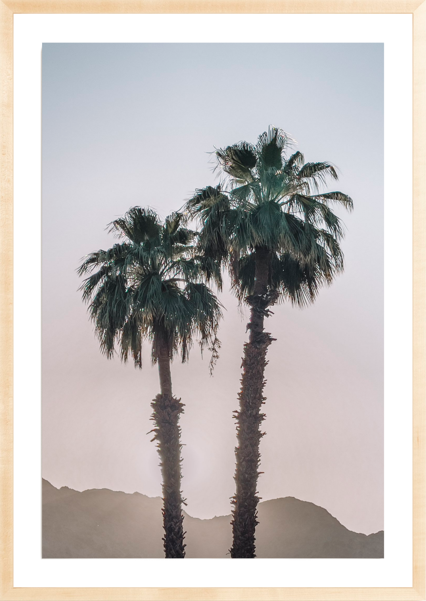 La Quinta Palms, Jules Frazier Fine Art Photograph