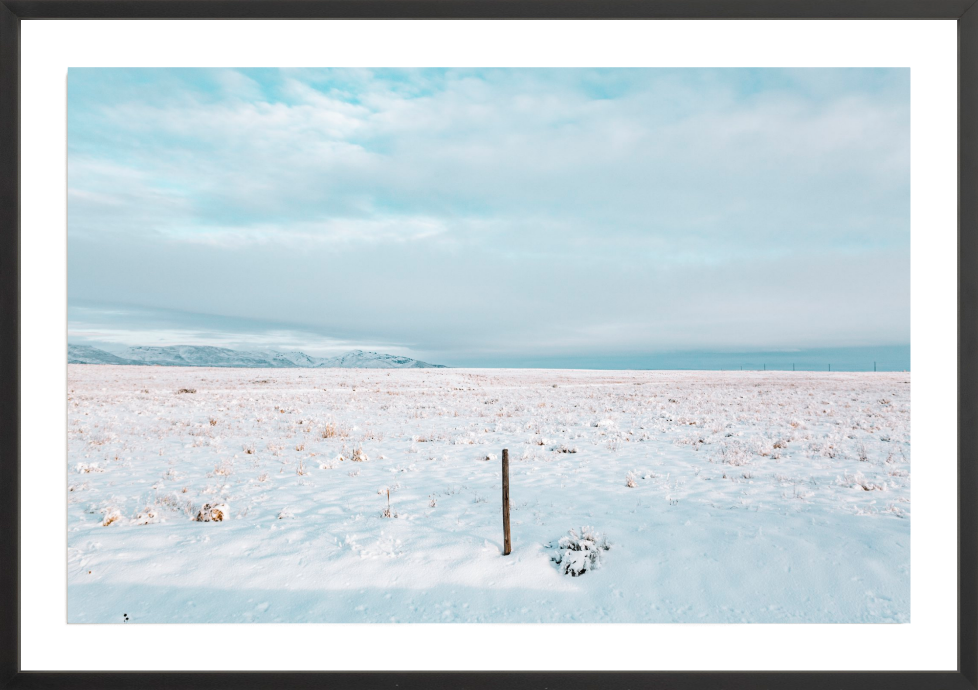 Last One Standing, Jules Frazier Fine Art Photograph