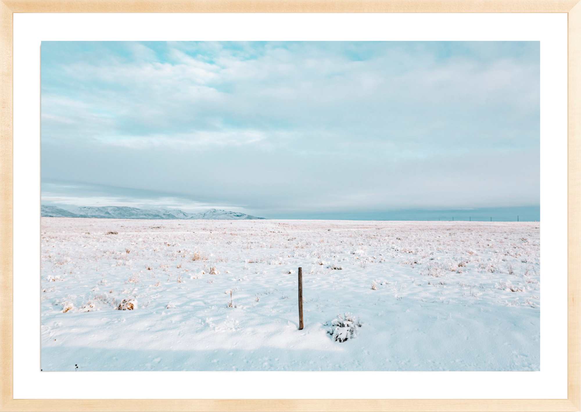 Last One Standing, Jules Frazier Fine Art Photograph