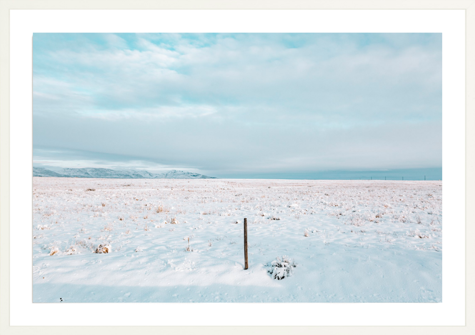 Last One Standing, Jules Frazier Fine Art Photograph
