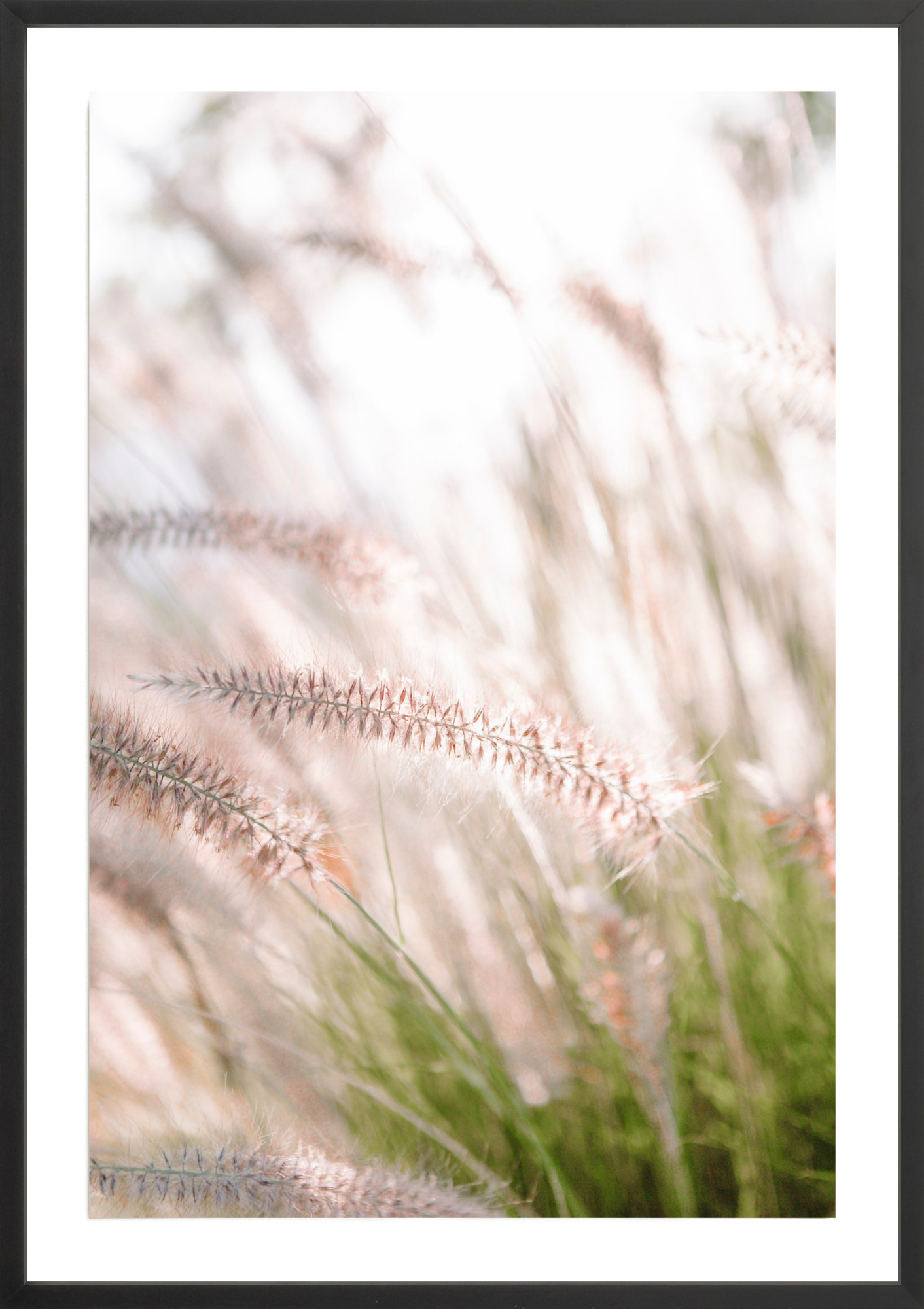 Lavender No.1, Jules Frazier Fine Art Photograph