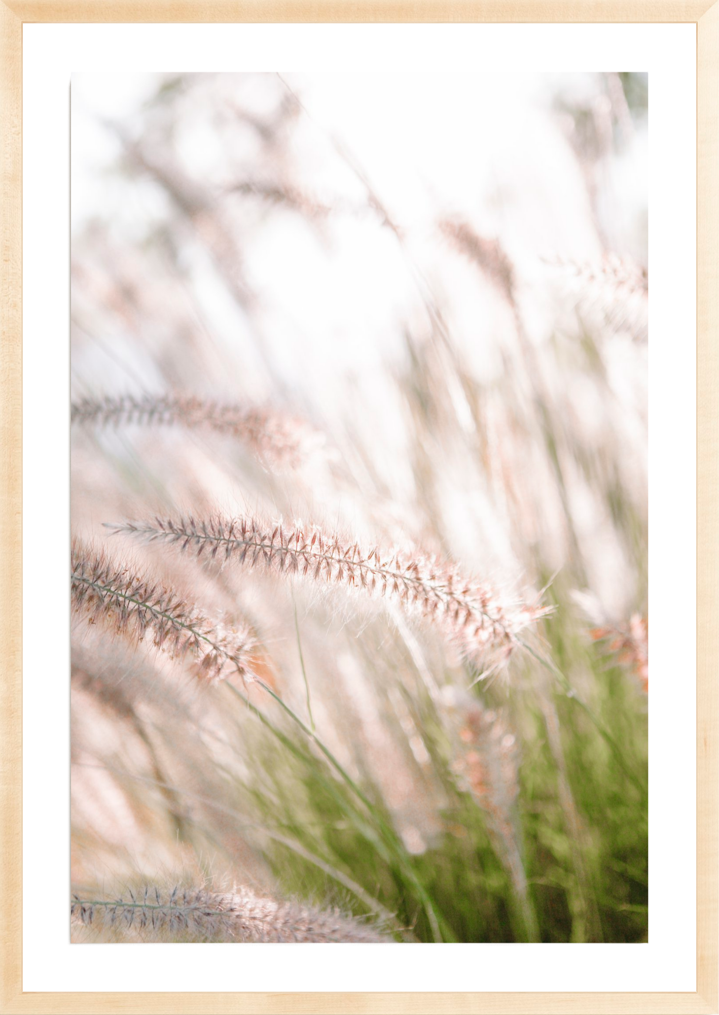 Lavender No.1, Jules Frazier Fine Art Photograph