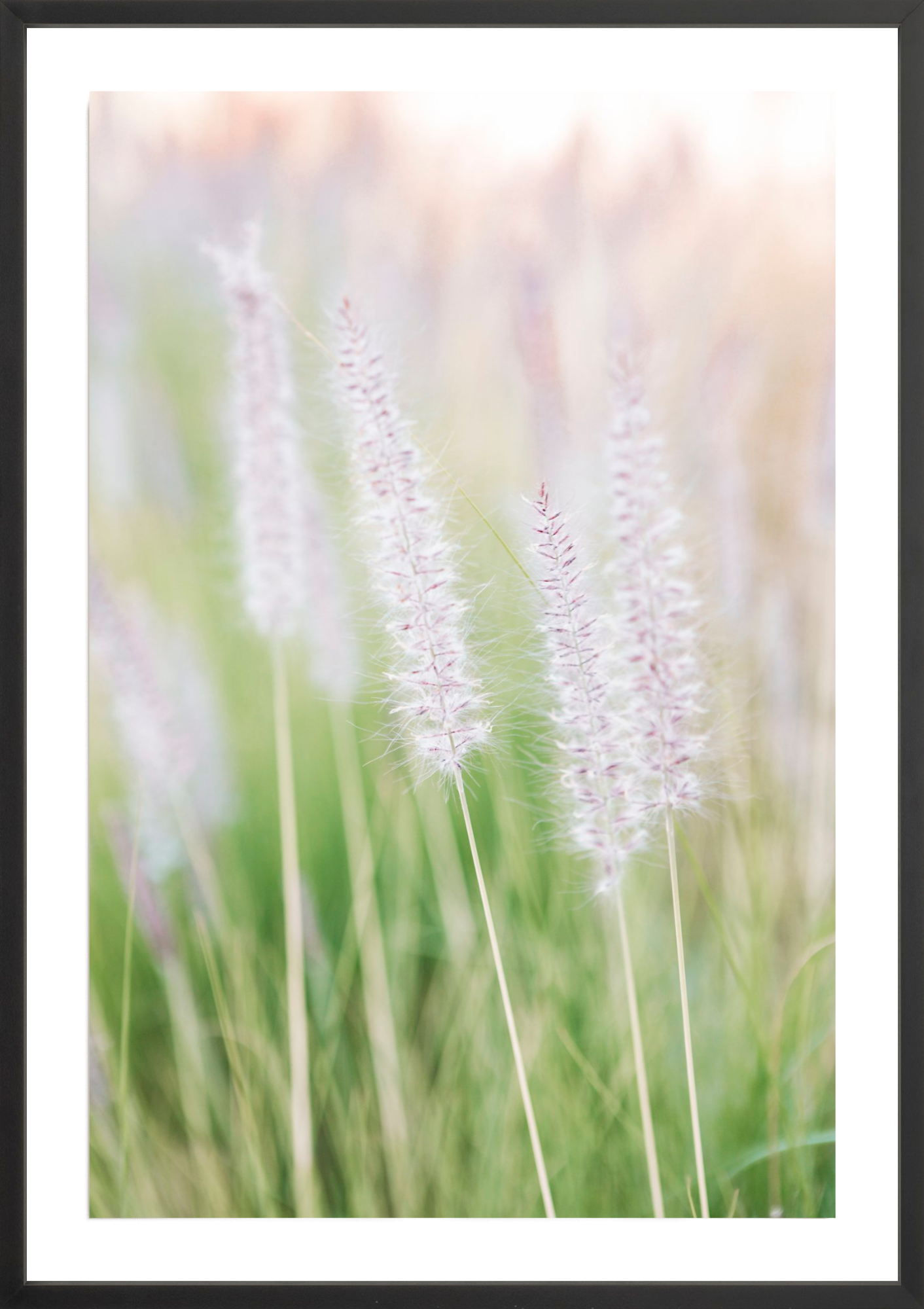 Lavender No.2, Jules Frazier Fine Art Photograph