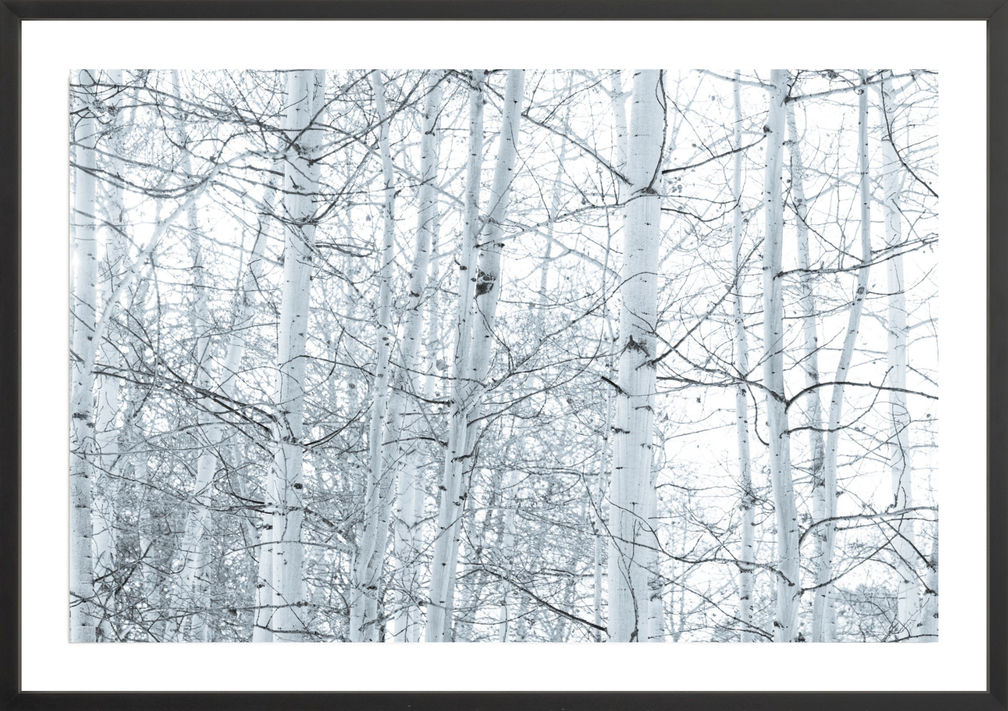 Love the One You're With, Jules Frazier Fine Art Photograph
