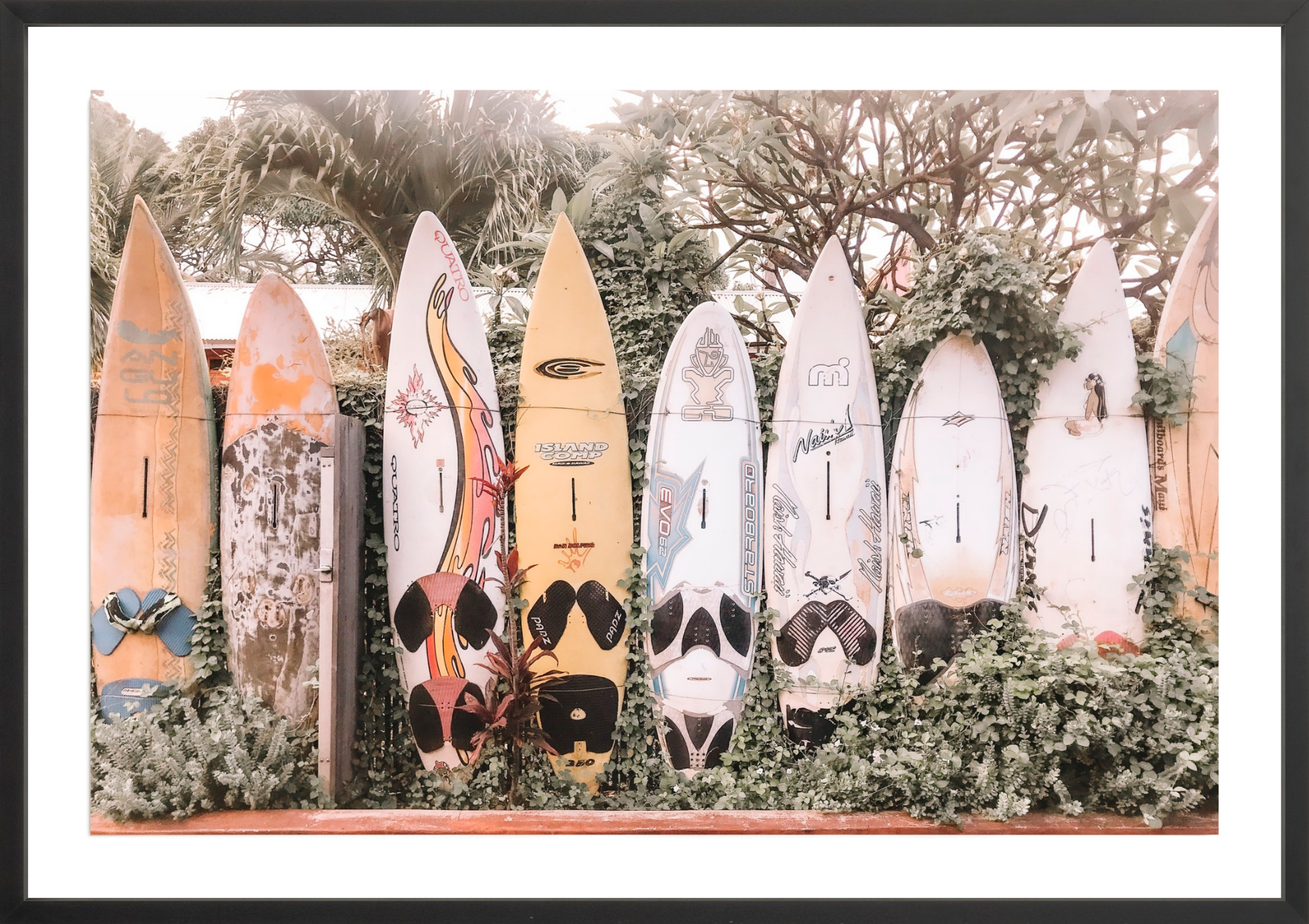 Maui Style, Jules Frazier Fine Art Photograph