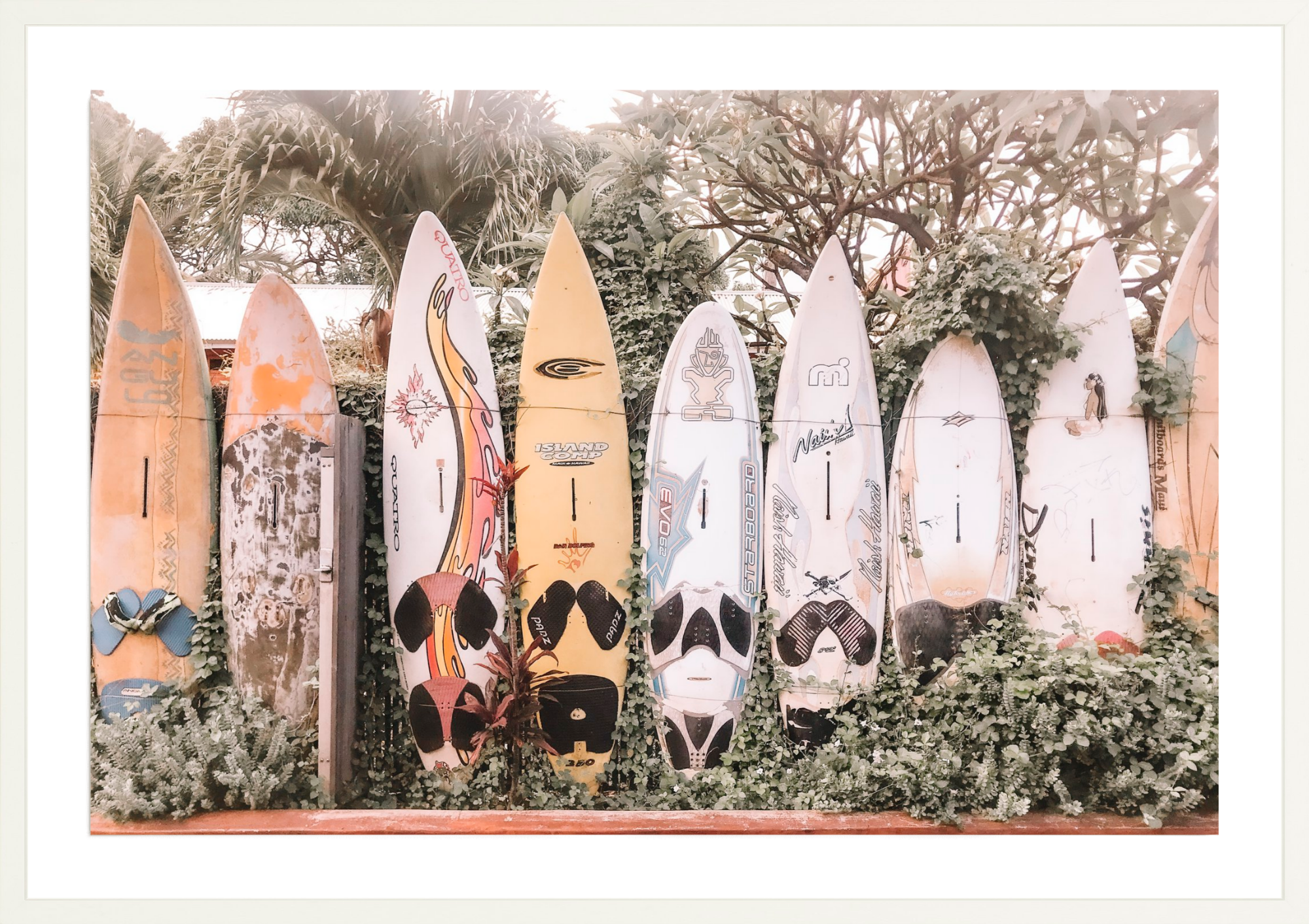 Maui Style, Jules Frazier Fine Art Photograph