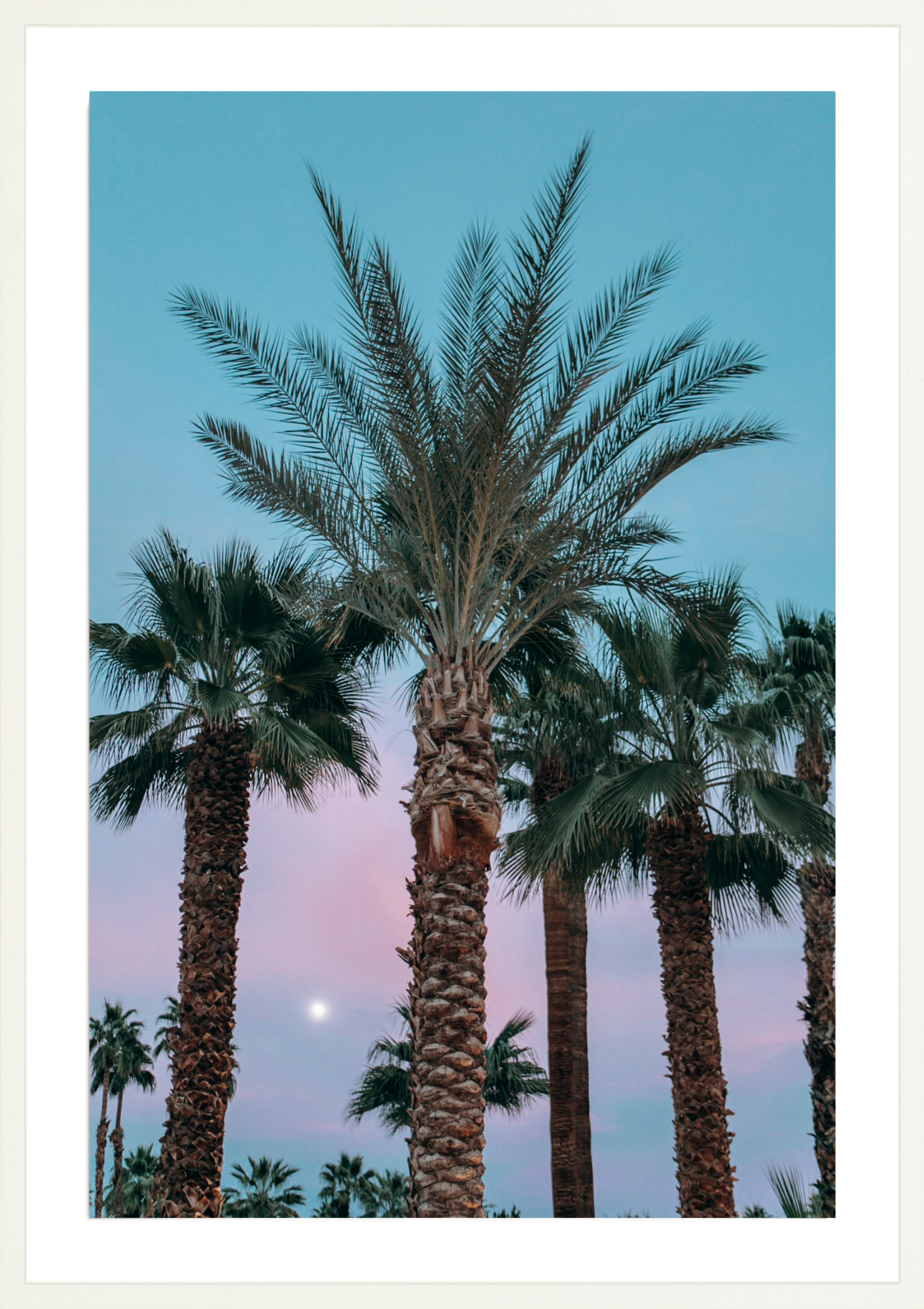 Moonrise, Jules Frazier Fine Art Photograph