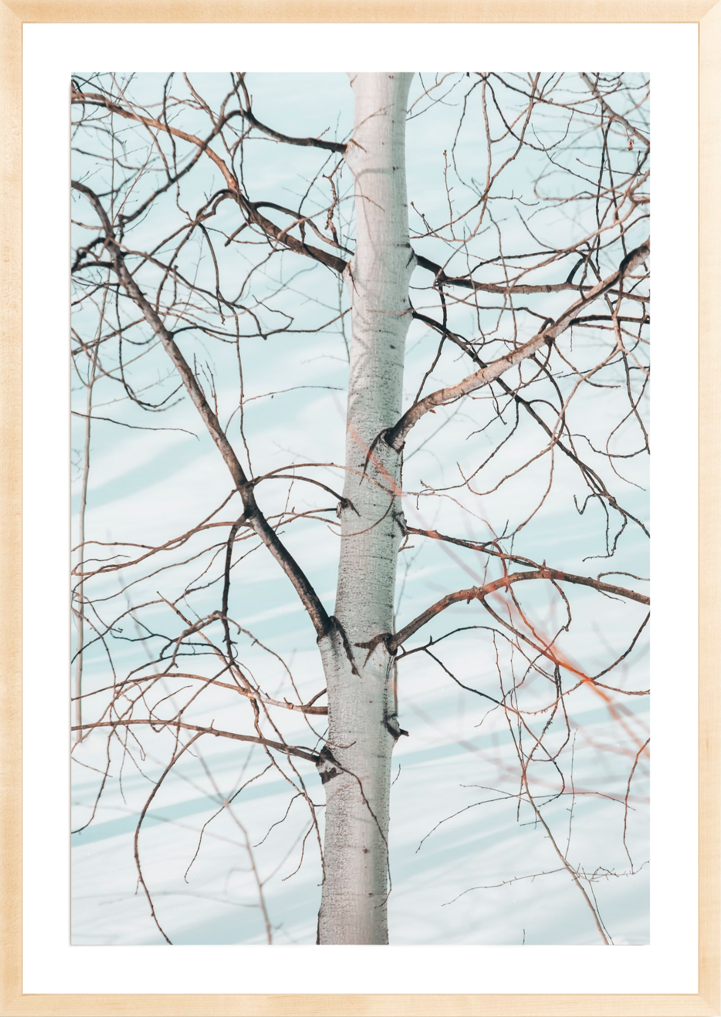 Networked, Jules Frazier Fine Art Photograph