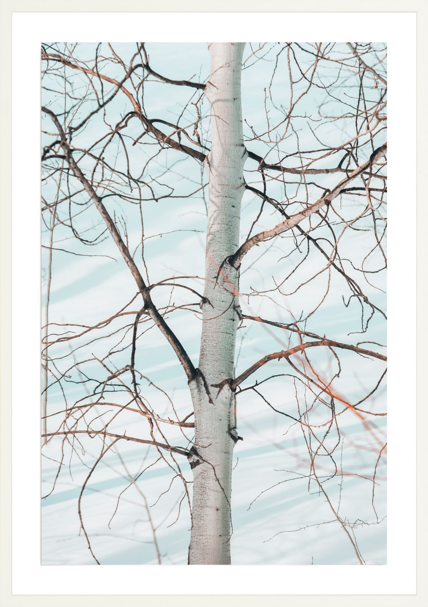 Networked, Jules Frazier Fine Art Photograph
