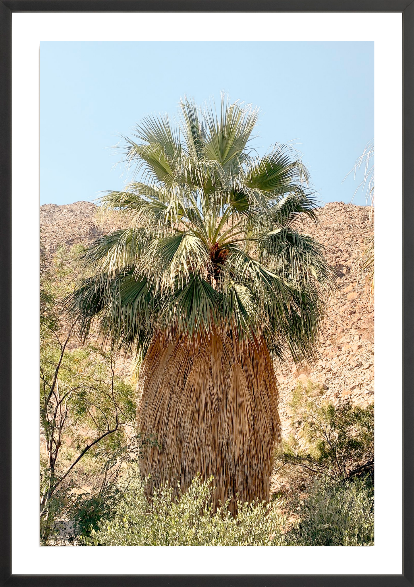 Old Man, Jules Frazier Fine Art Photograph