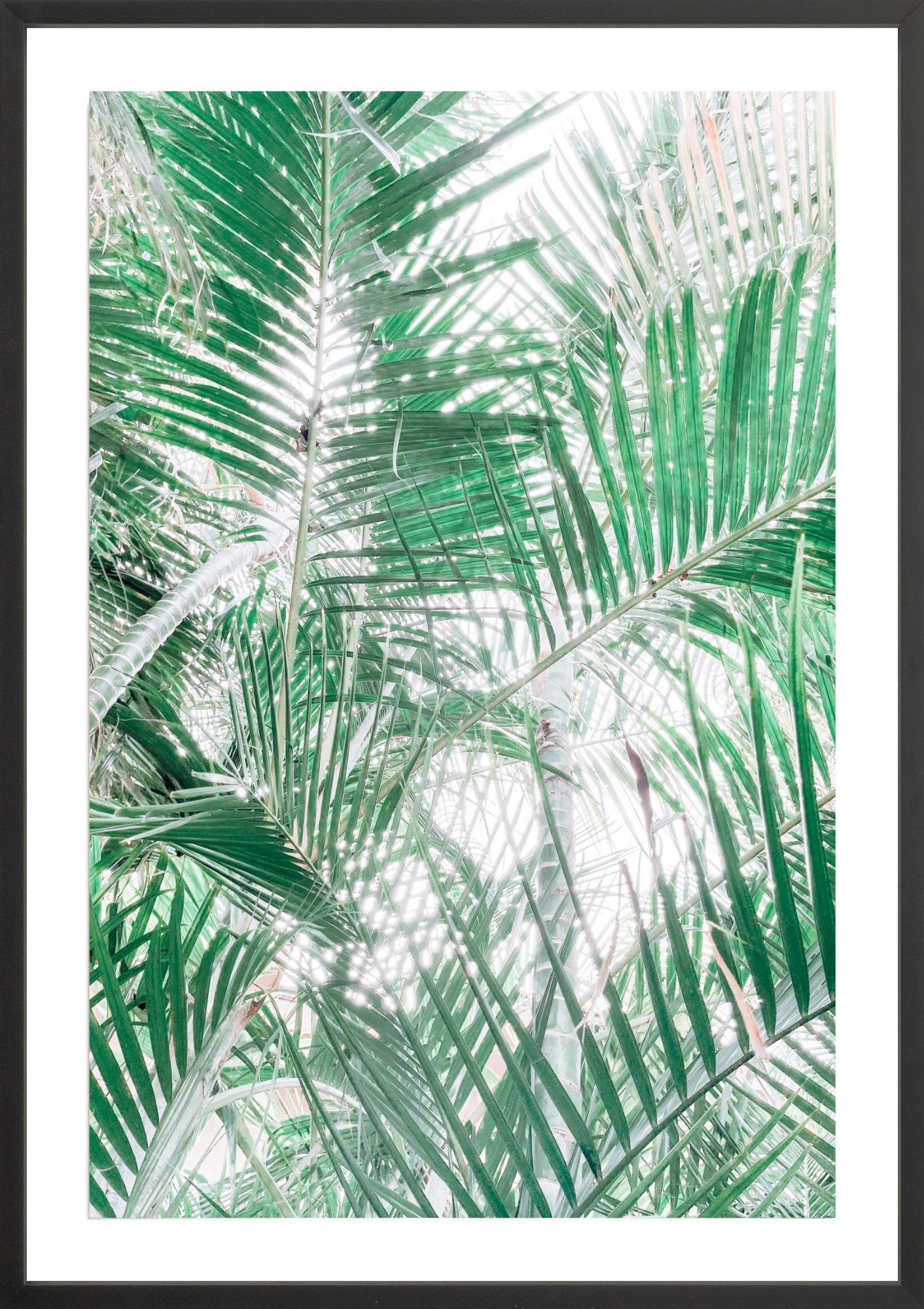 Paia Palms 2, Jules Frazier Fine Art Photograph