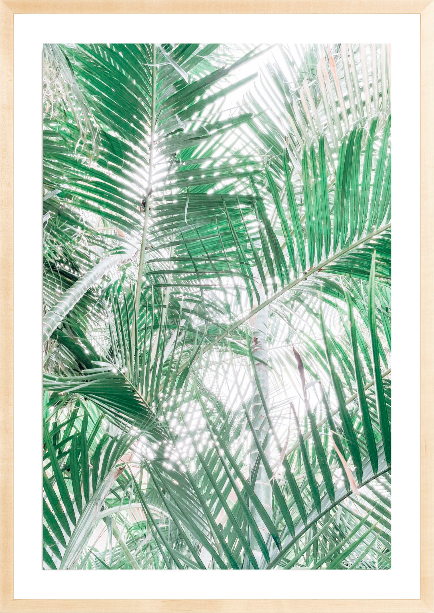 Paia Palms 2, Jules Frazier Fine Art Photograph