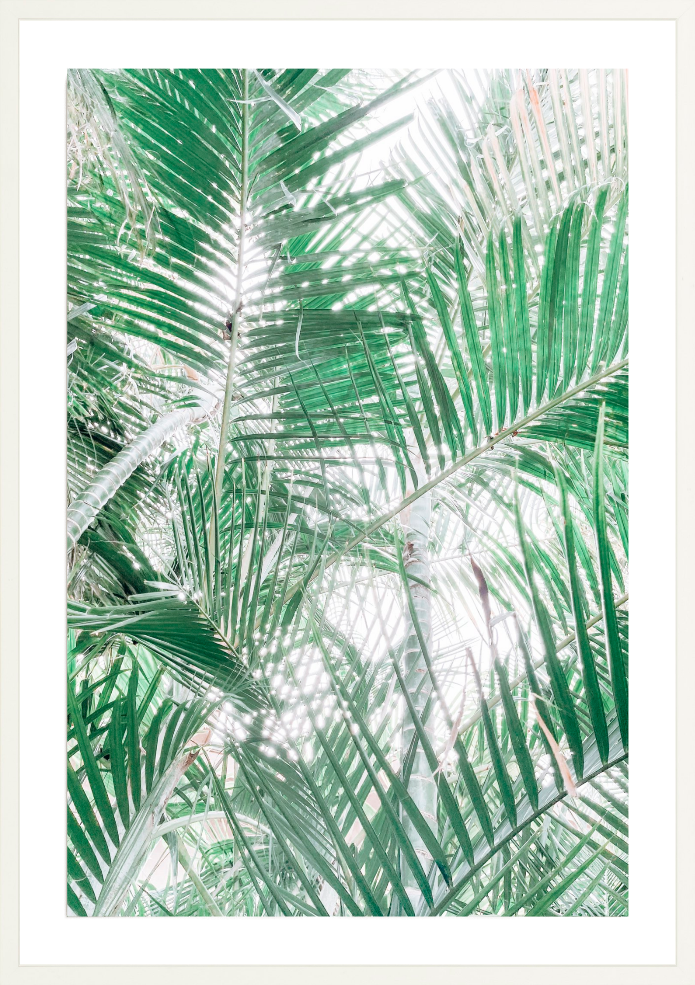 Paia Palms 2, Jules Frazier Fine Art Photograph