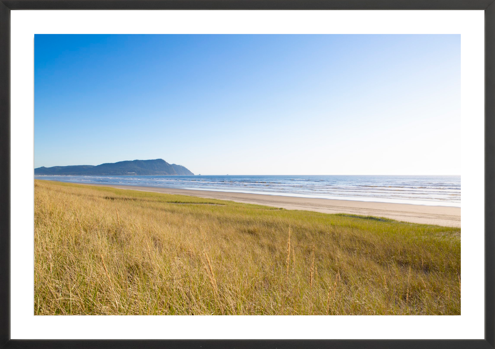 Grasses of Gearhart Beach, Jules Frazier Fine Art Photograph