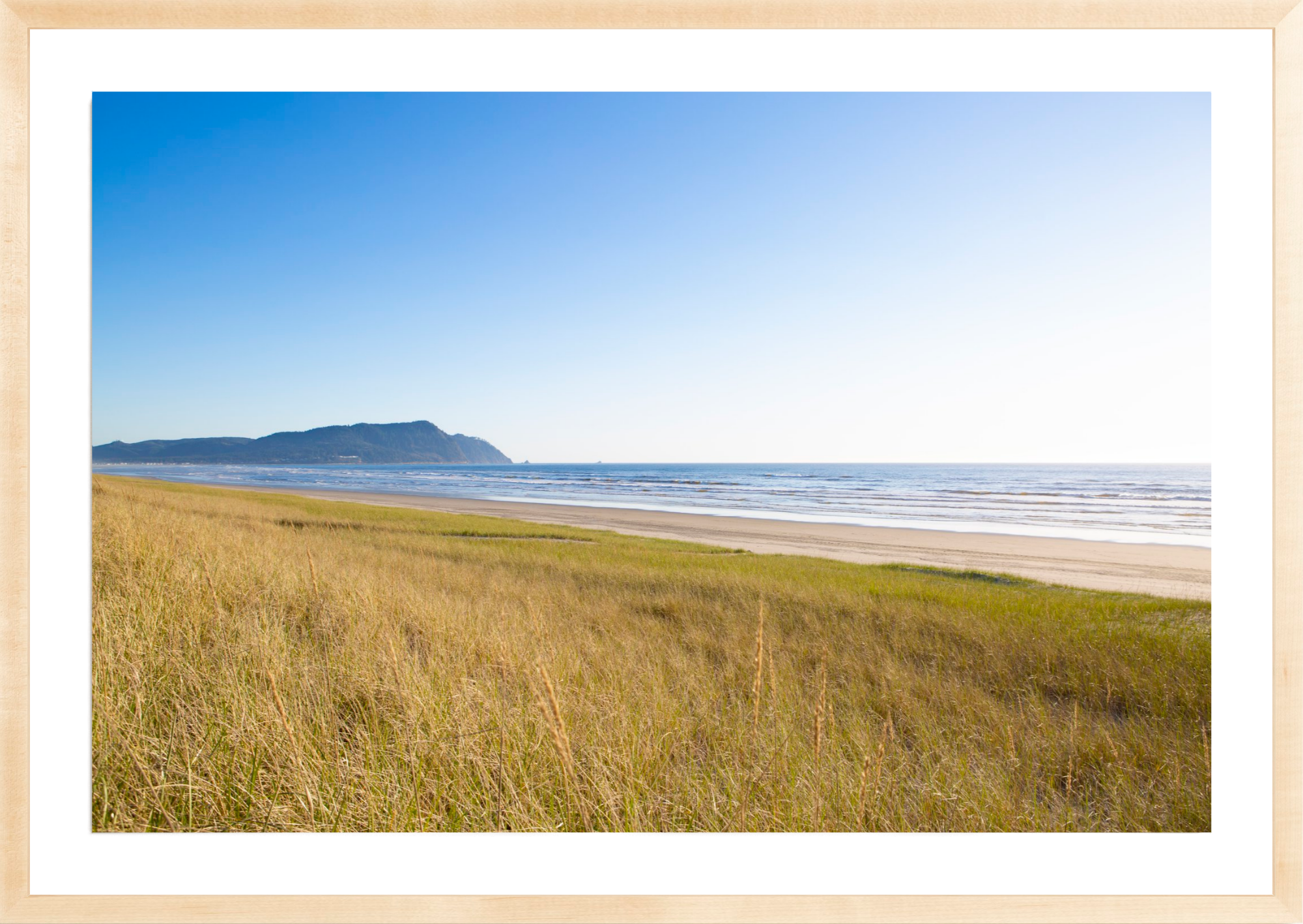 Grasses of Gearhart Beach, Jules Frazier Fine Art Photograph