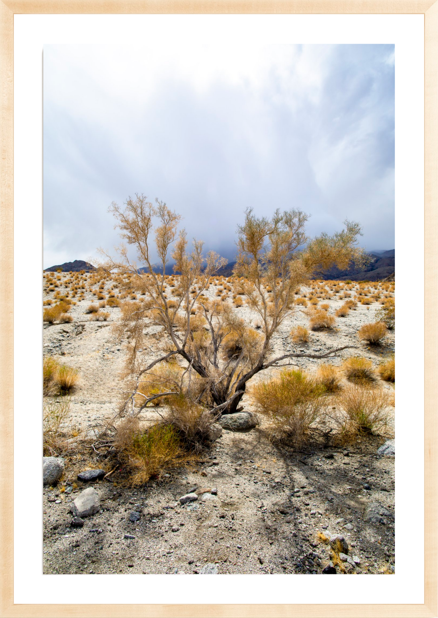 Sage Antlers, Jules Frazier Fine Art Photograph