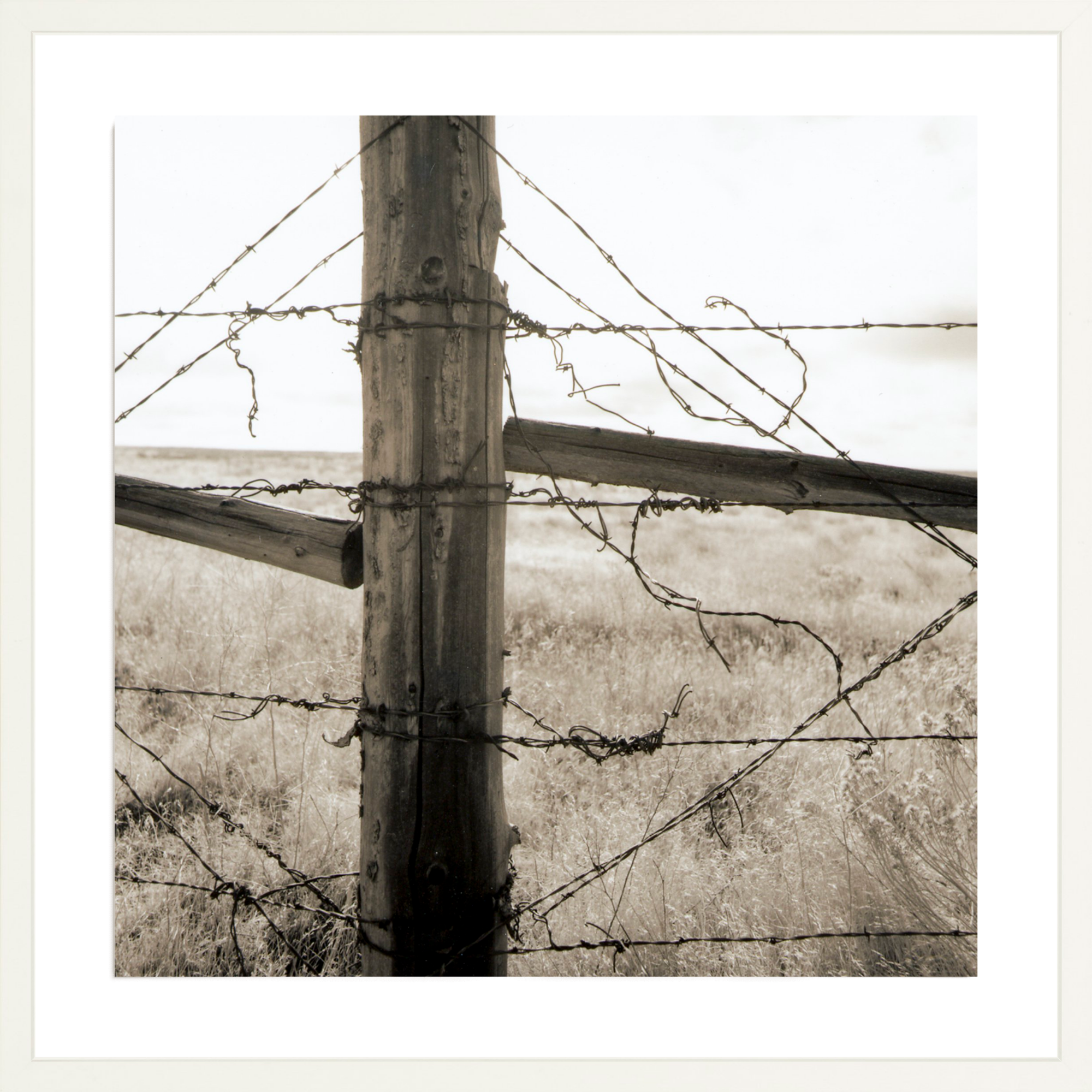 Strands of Barb Wire, Jules Frazier Fine Art Photograph