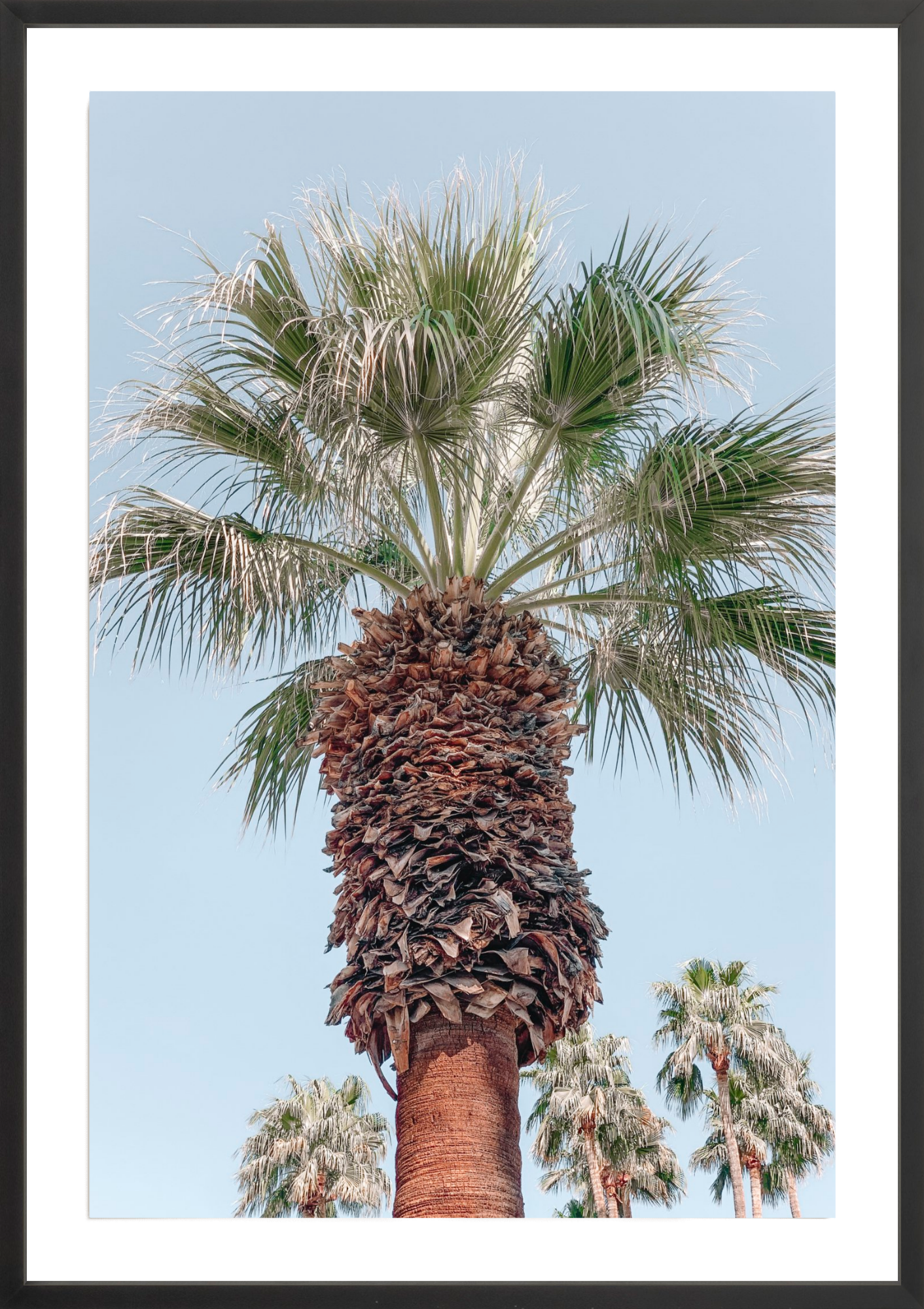 Symmetry, Jules Frazier Fine Art Photograph