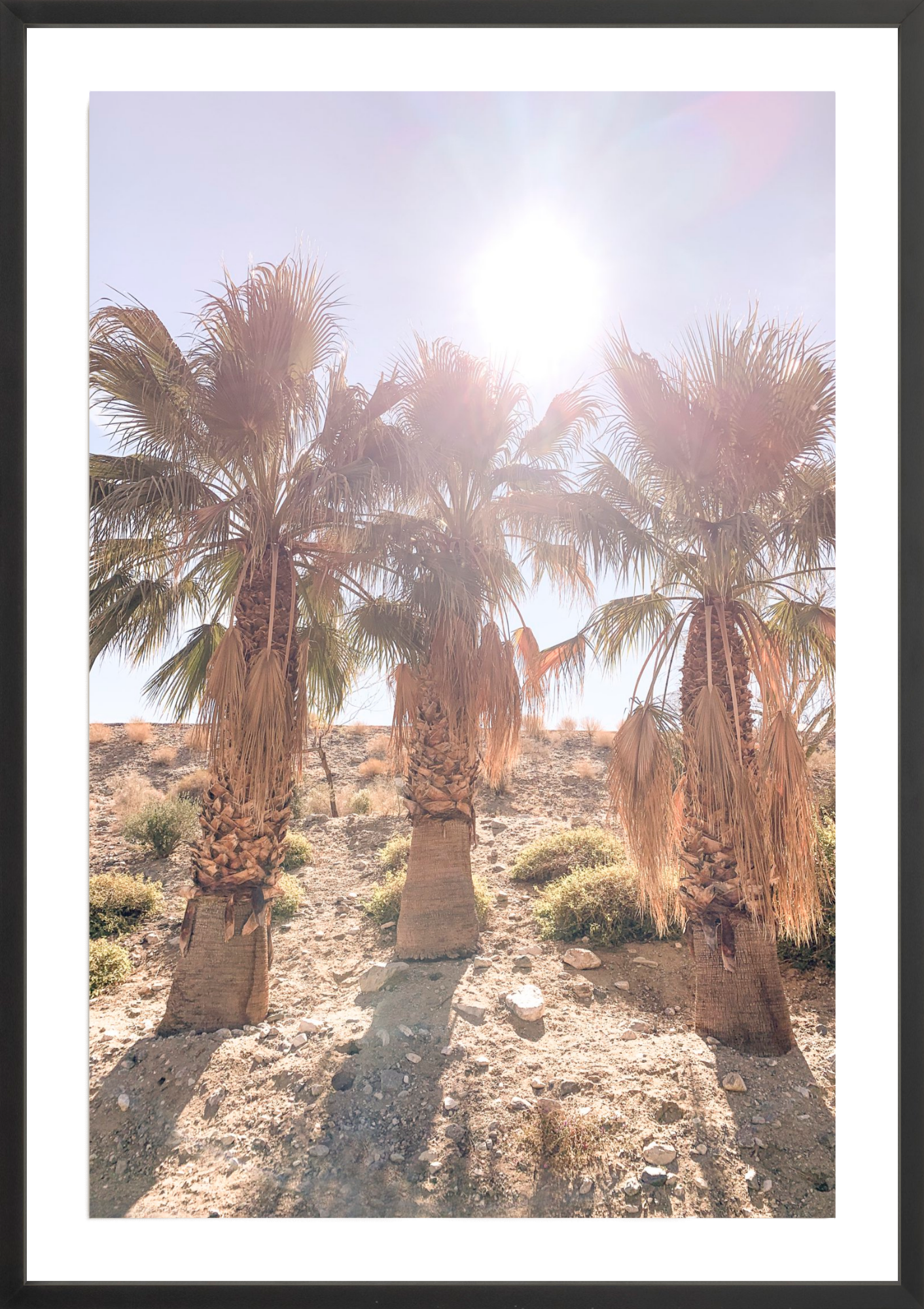 Three Amigos, Jules Frazier Fine Art Photograph