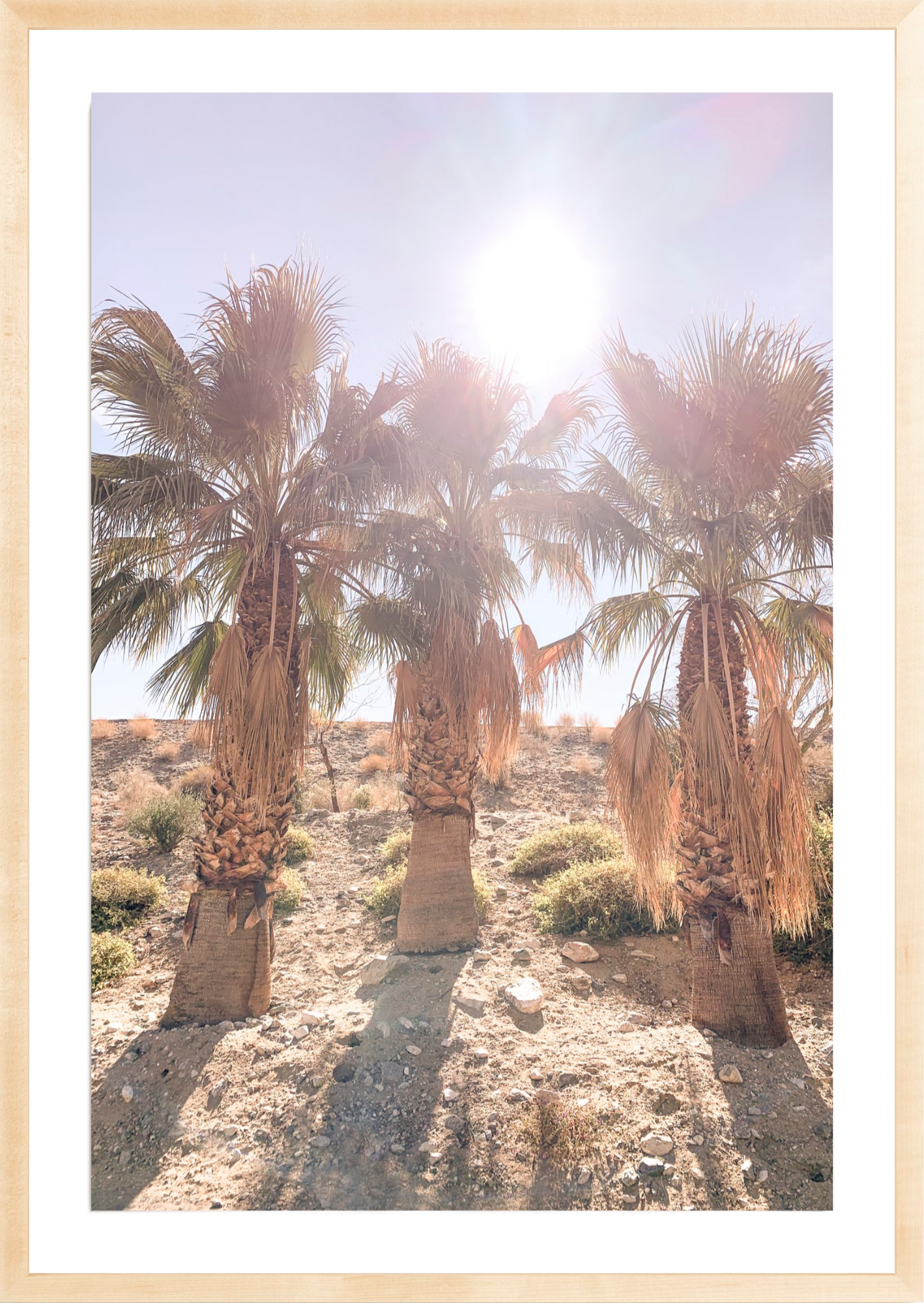 Three Amigos, Jules Frazier Fine Art Photograph