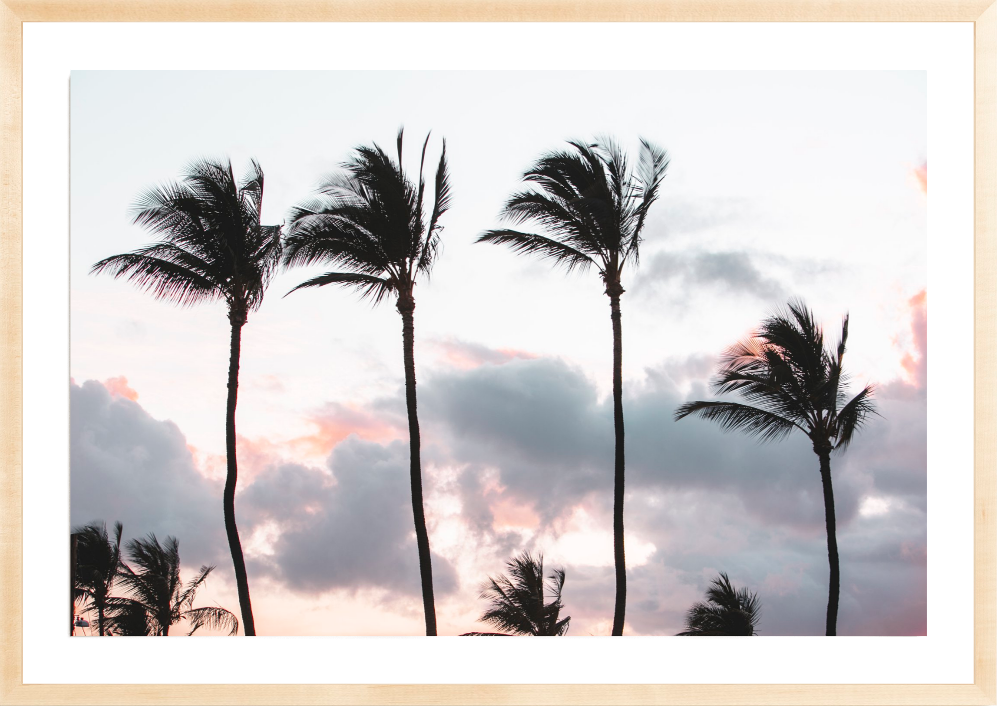 Tradewinds, Jules Frazier Fine Art Photograph