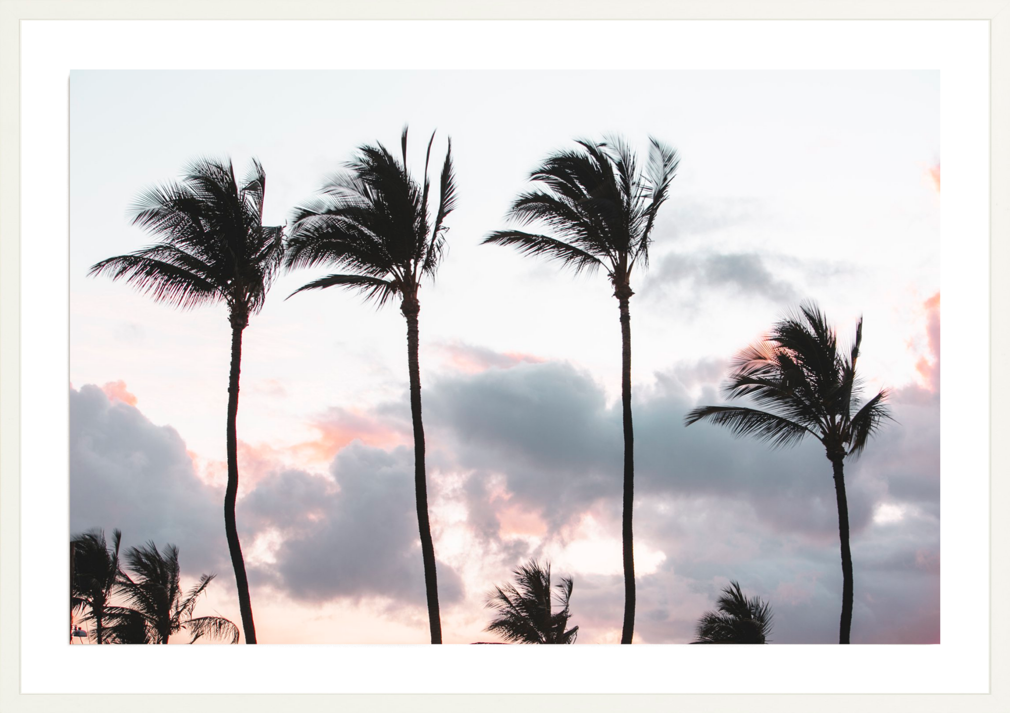 Tradewinds, Jules Frazier Fine Art Photograph