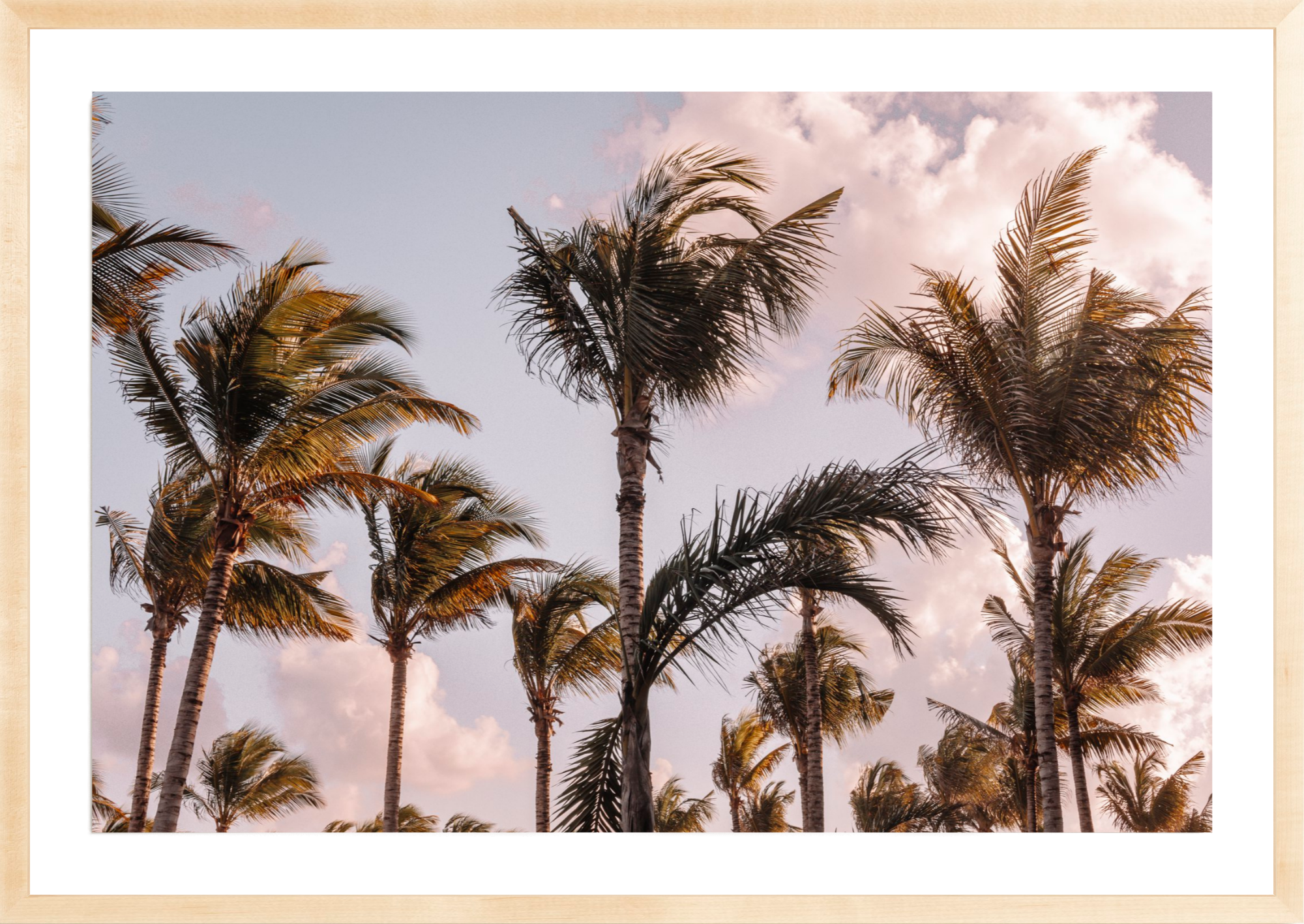 Tropical Maui, Jules Frazier Fine Art Photograph
