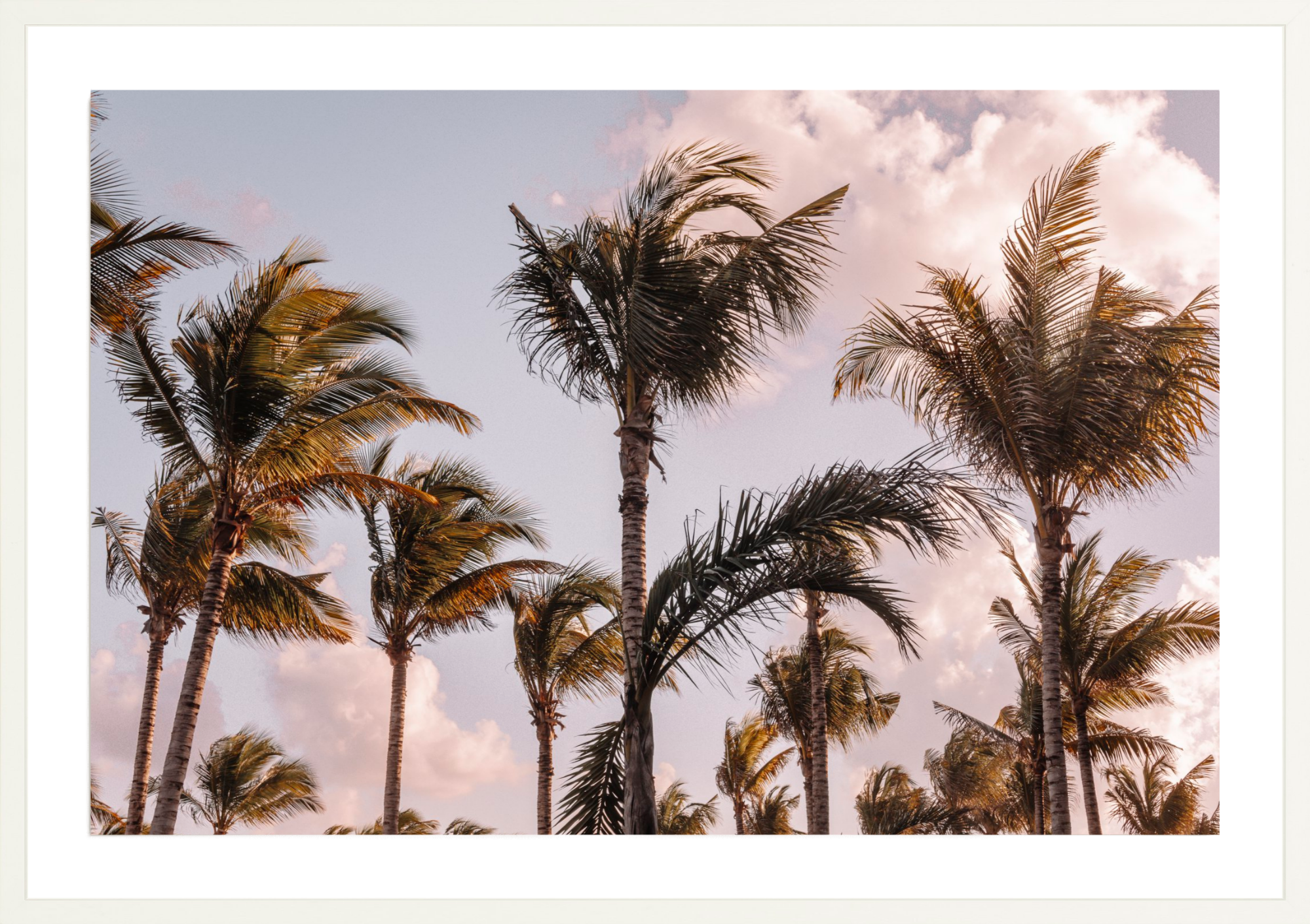 Tropical Maui, Jules Frazier Fine Art Photograph