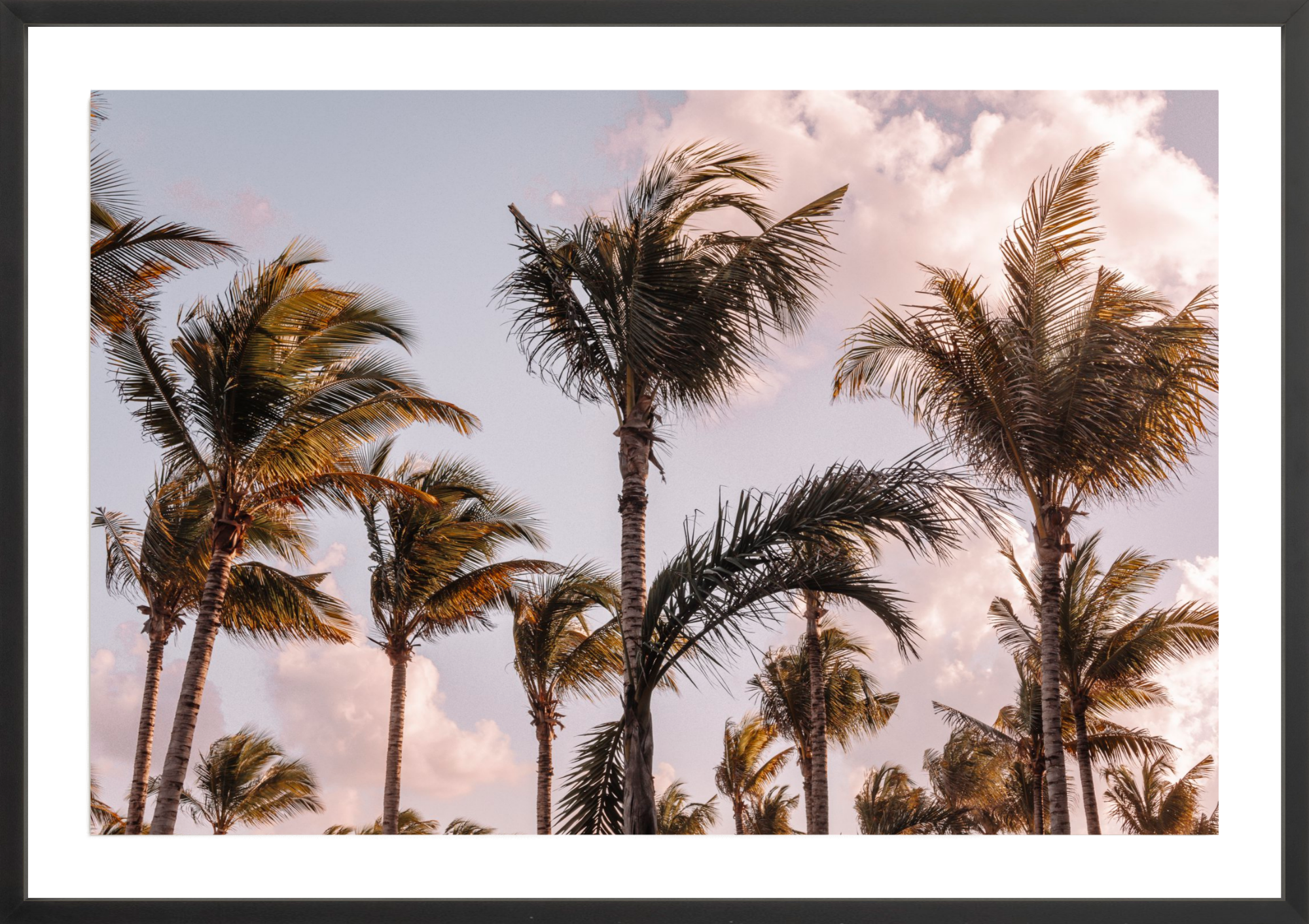 Tropical Maui, Jules Frazier Fine Art Photograph