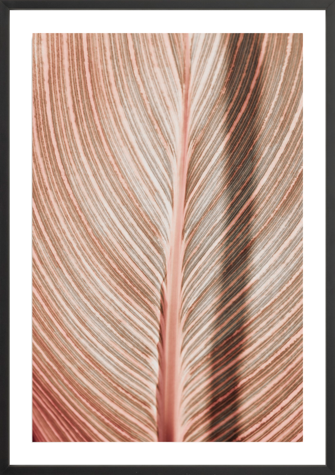 Tropicana Abstract, Jules Frazier Fine Art Photograph