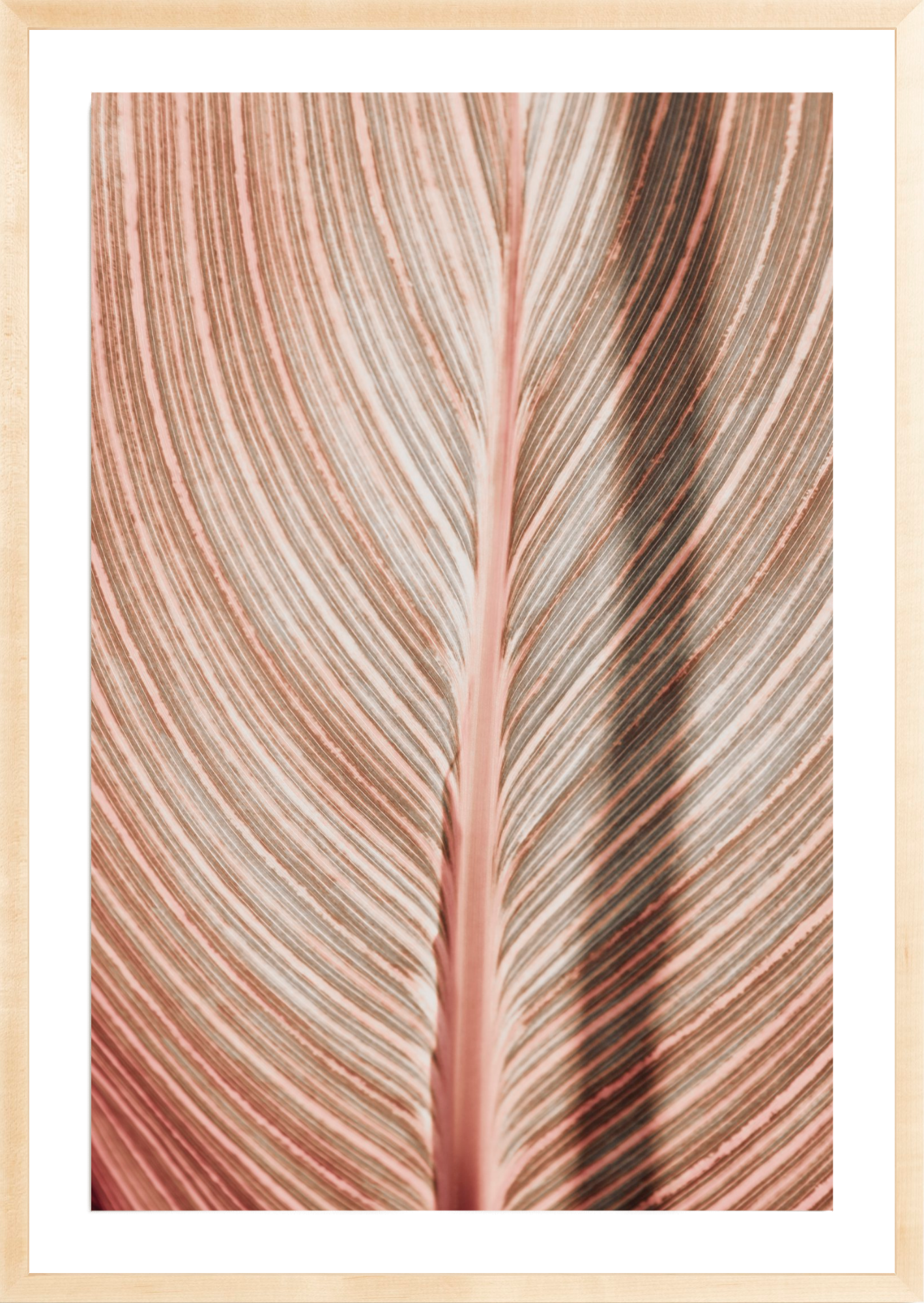 Tropicana Abstract, Jules Frazier Fine Art Photograph