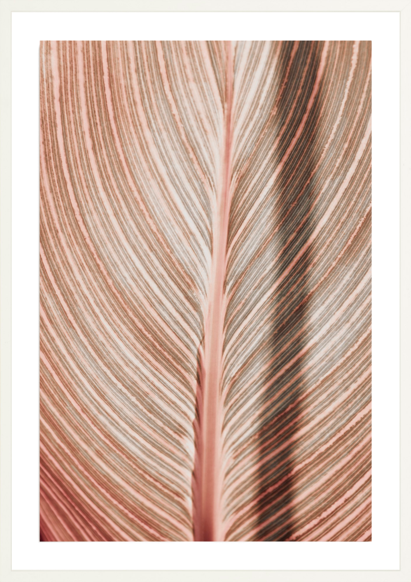 Tropicana Abstract, Jules Frazier Fine Art Photograph