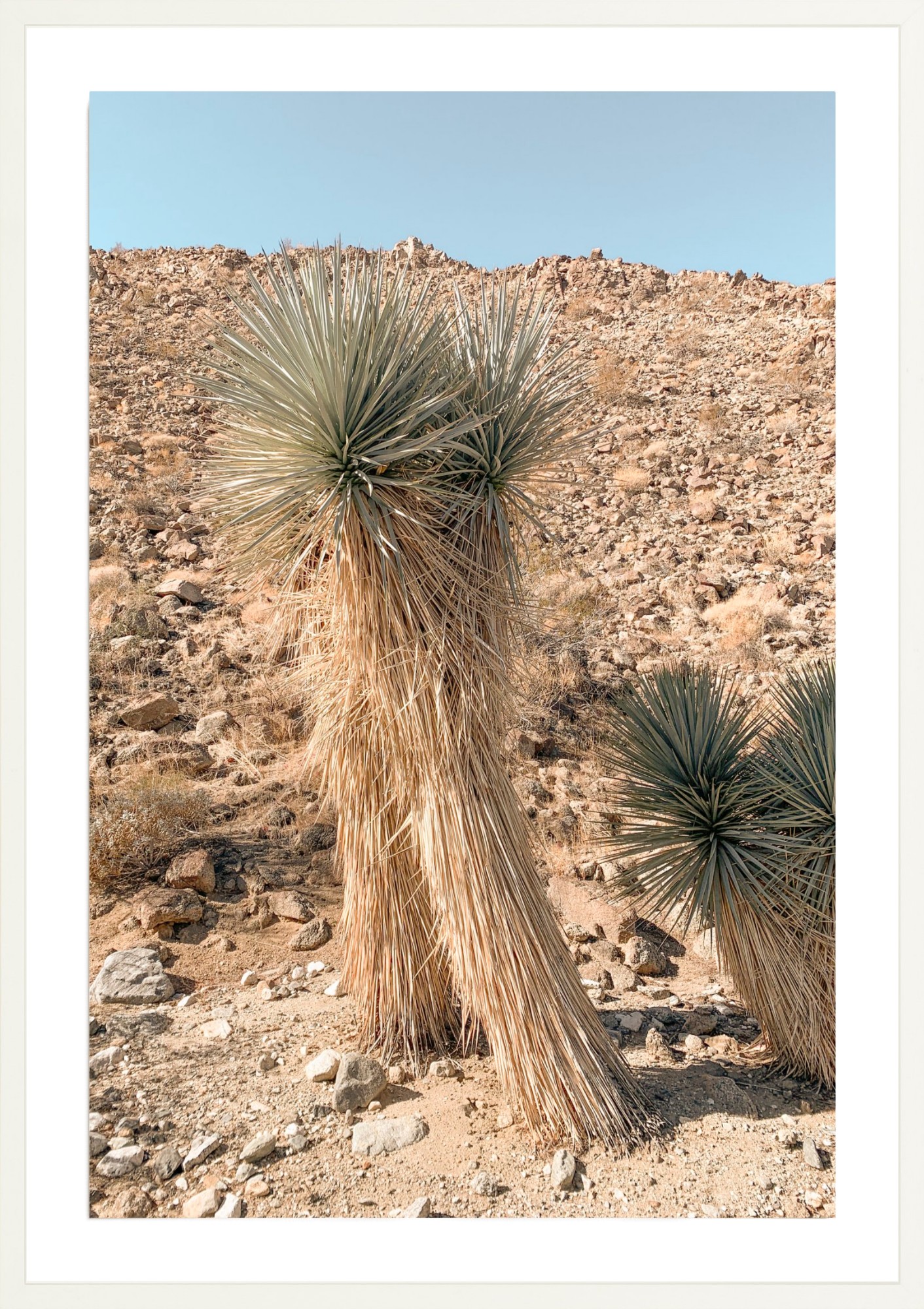 Walk This Way, Jules Frazier Fine Art Photograph